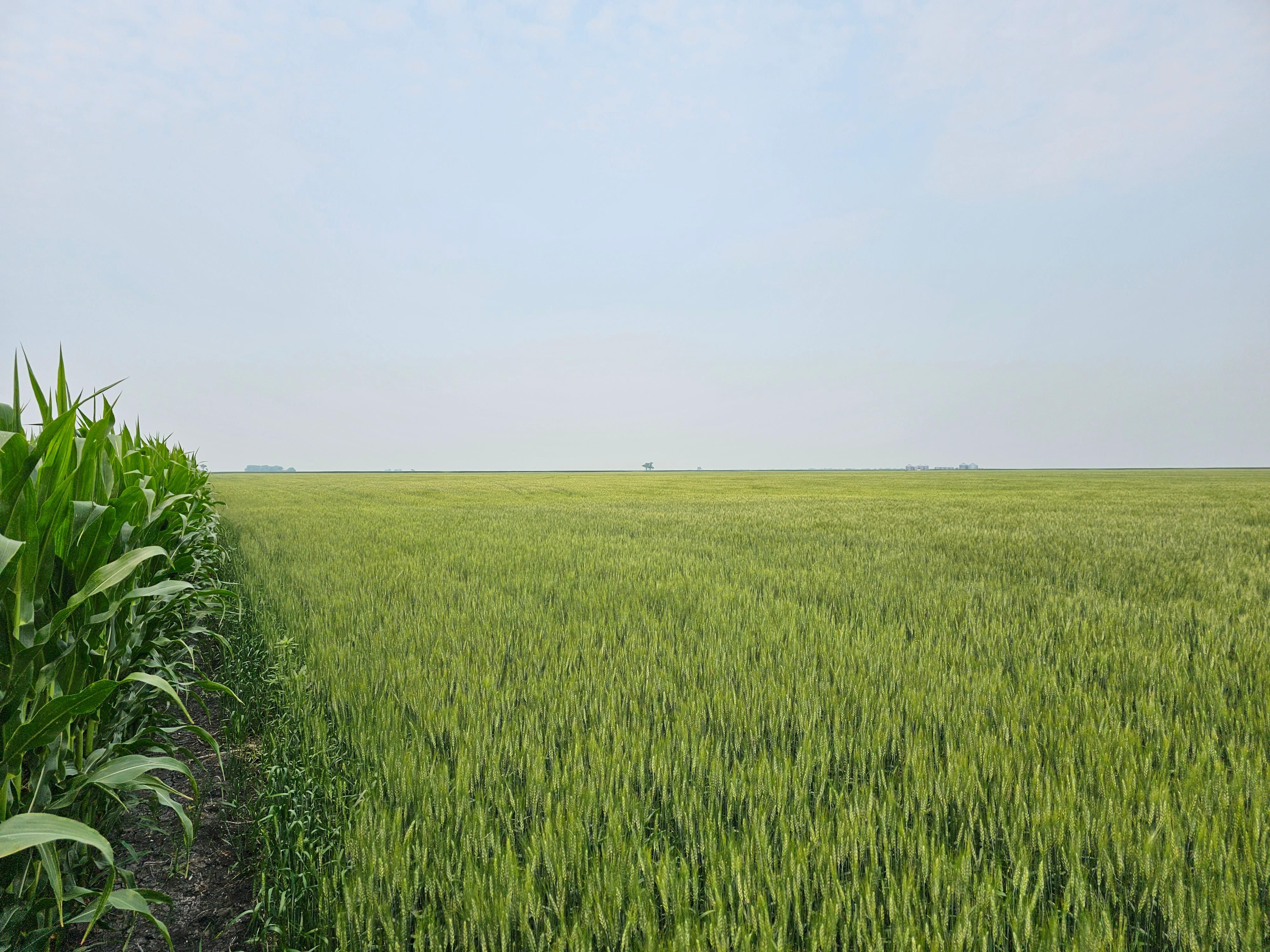 160 acres in Polk County, Minnesota