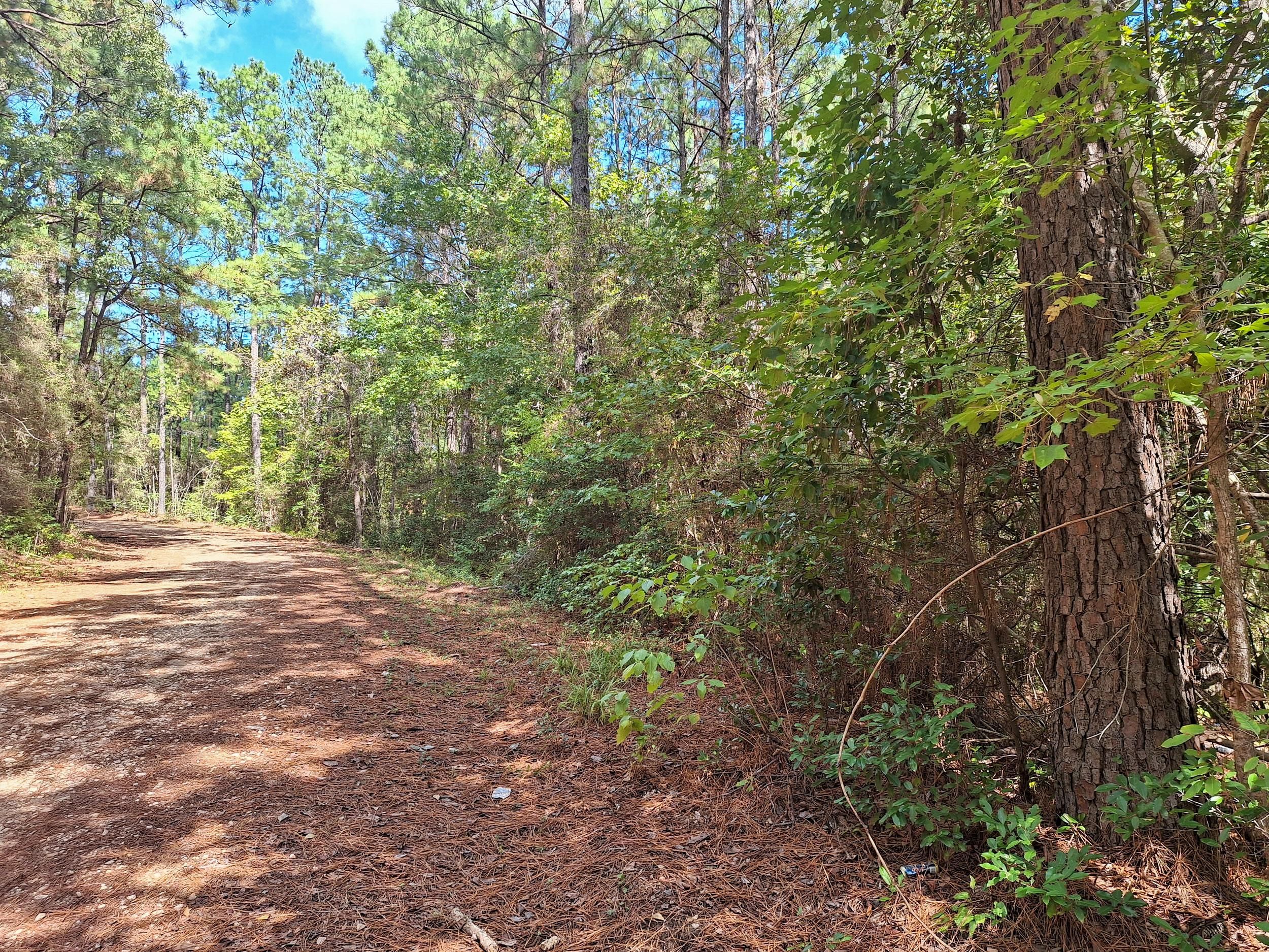 Craigslist Texas Tyler - 83gx159