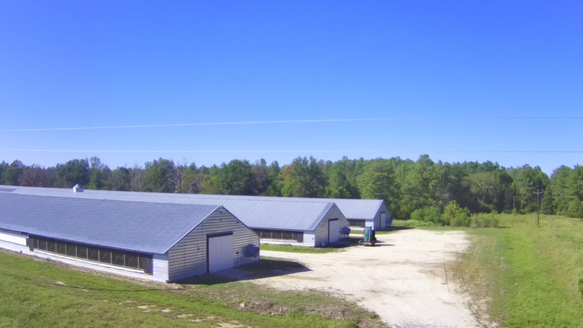 36 acres in Trinity County, Texas