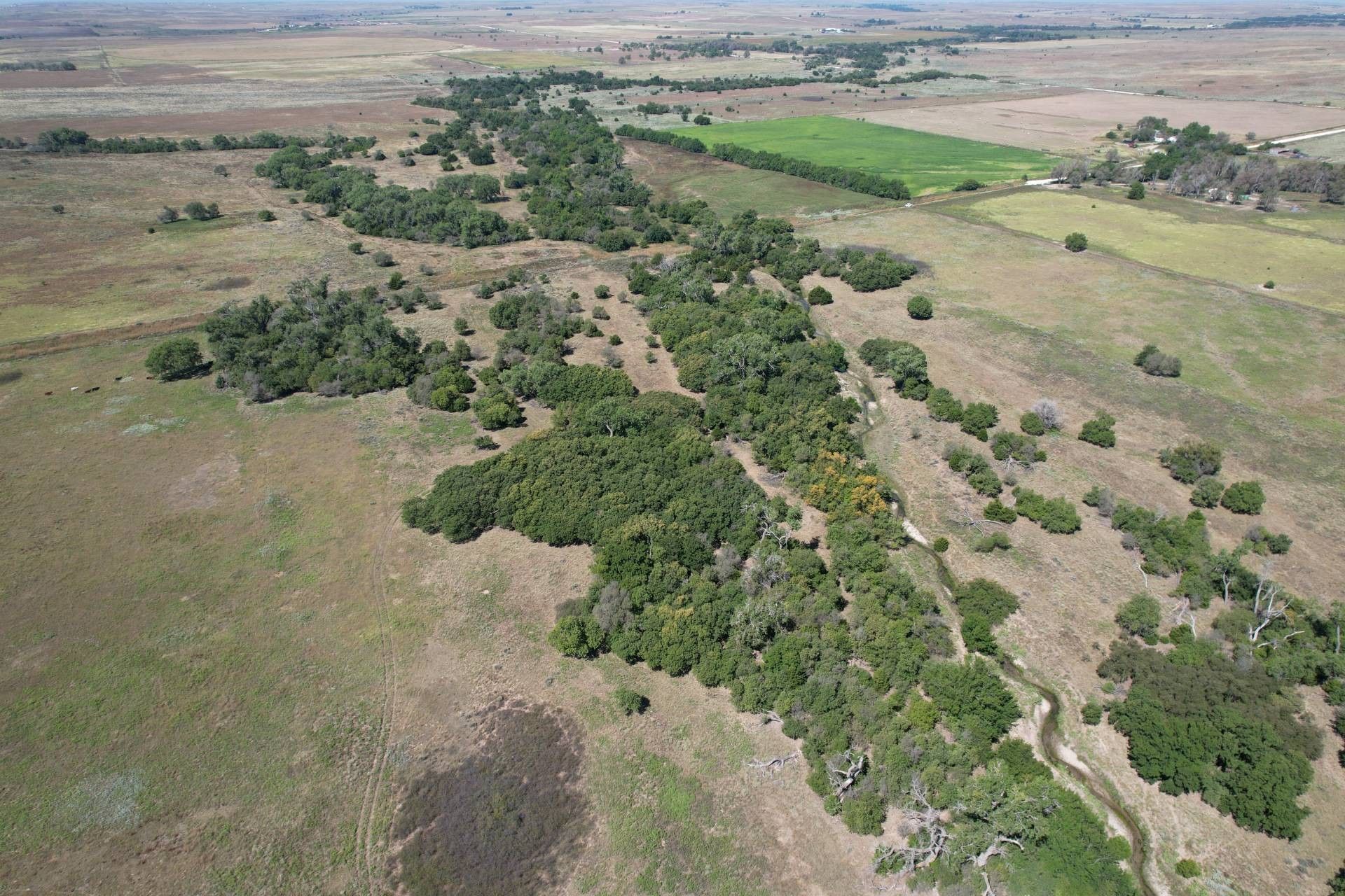 160 acres in Ellis County, Oklahoma