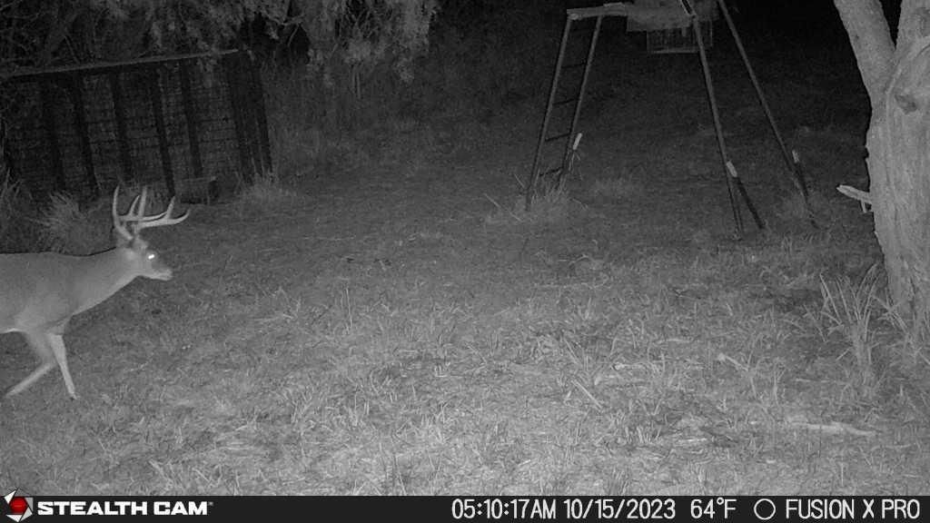 150 acres in Brooks County, Texas