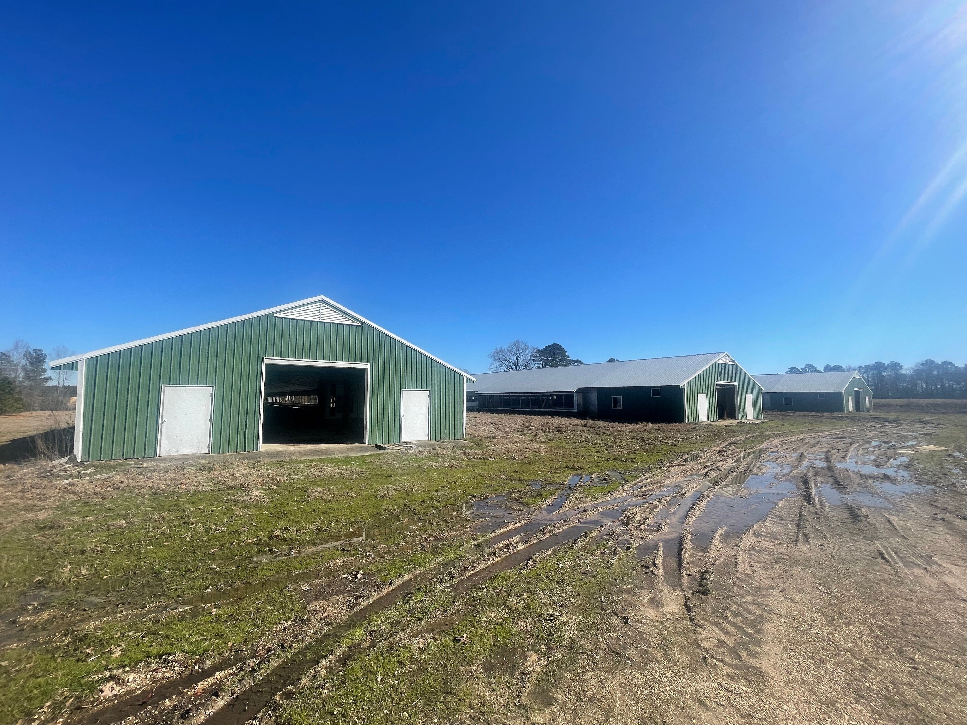 11 acres in Bradley County, Arkansas