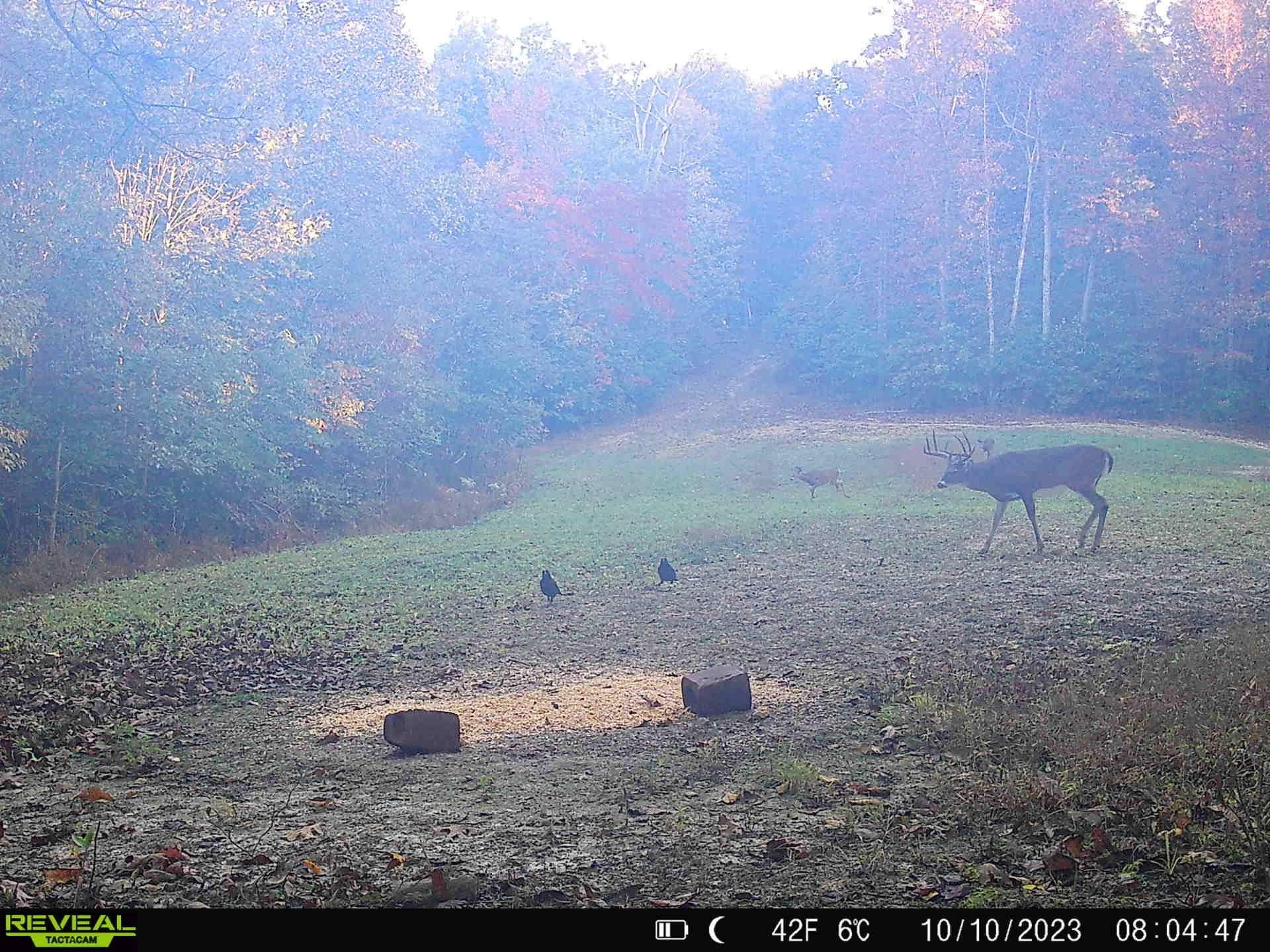 540 Collier Road, South ster, OH 45682 MLS Scioto County Ohio