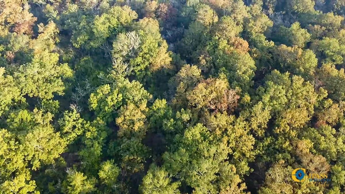 42 acres in Bradley County, Arkansas
