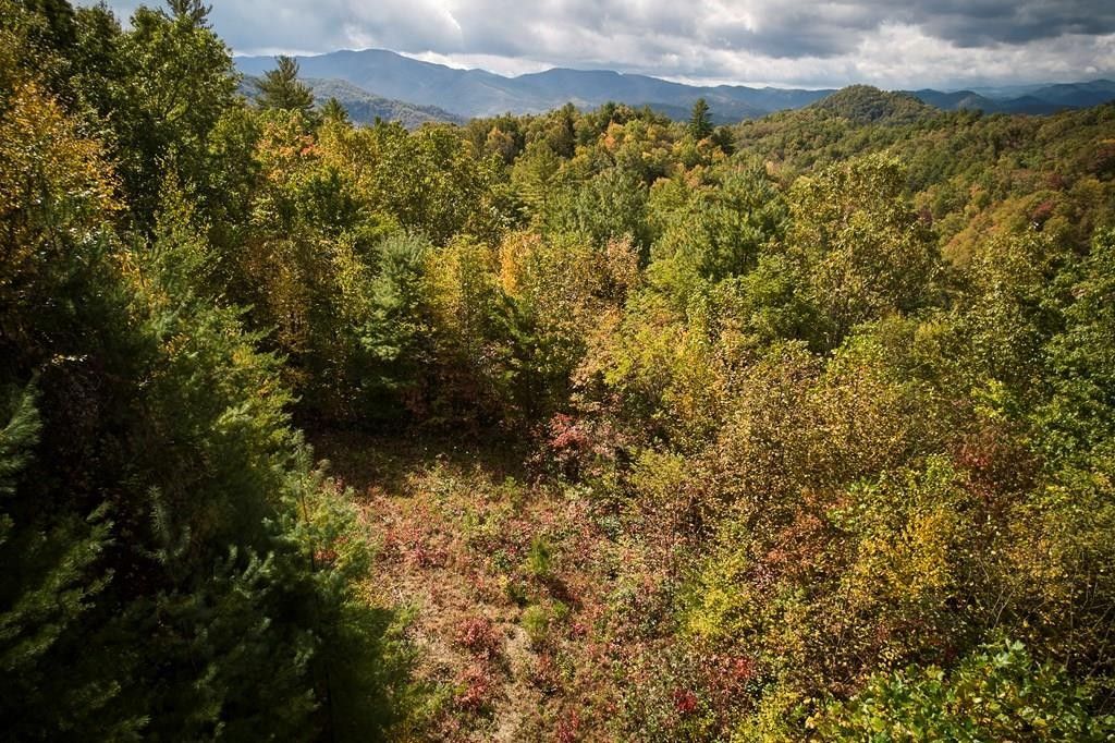 7 acres in Graham County, North Carolina