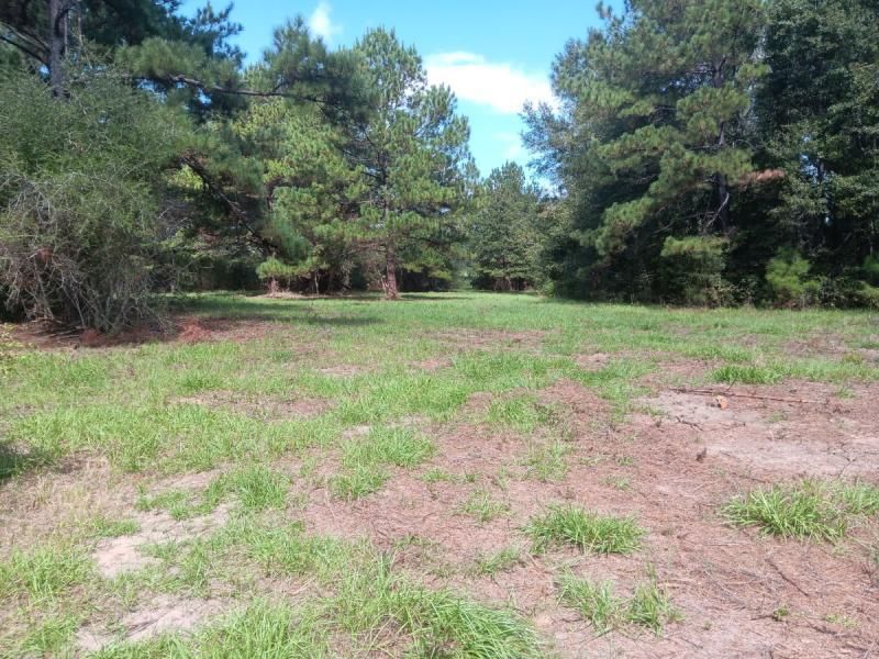 17 acres in Walthall County, Mississippi
