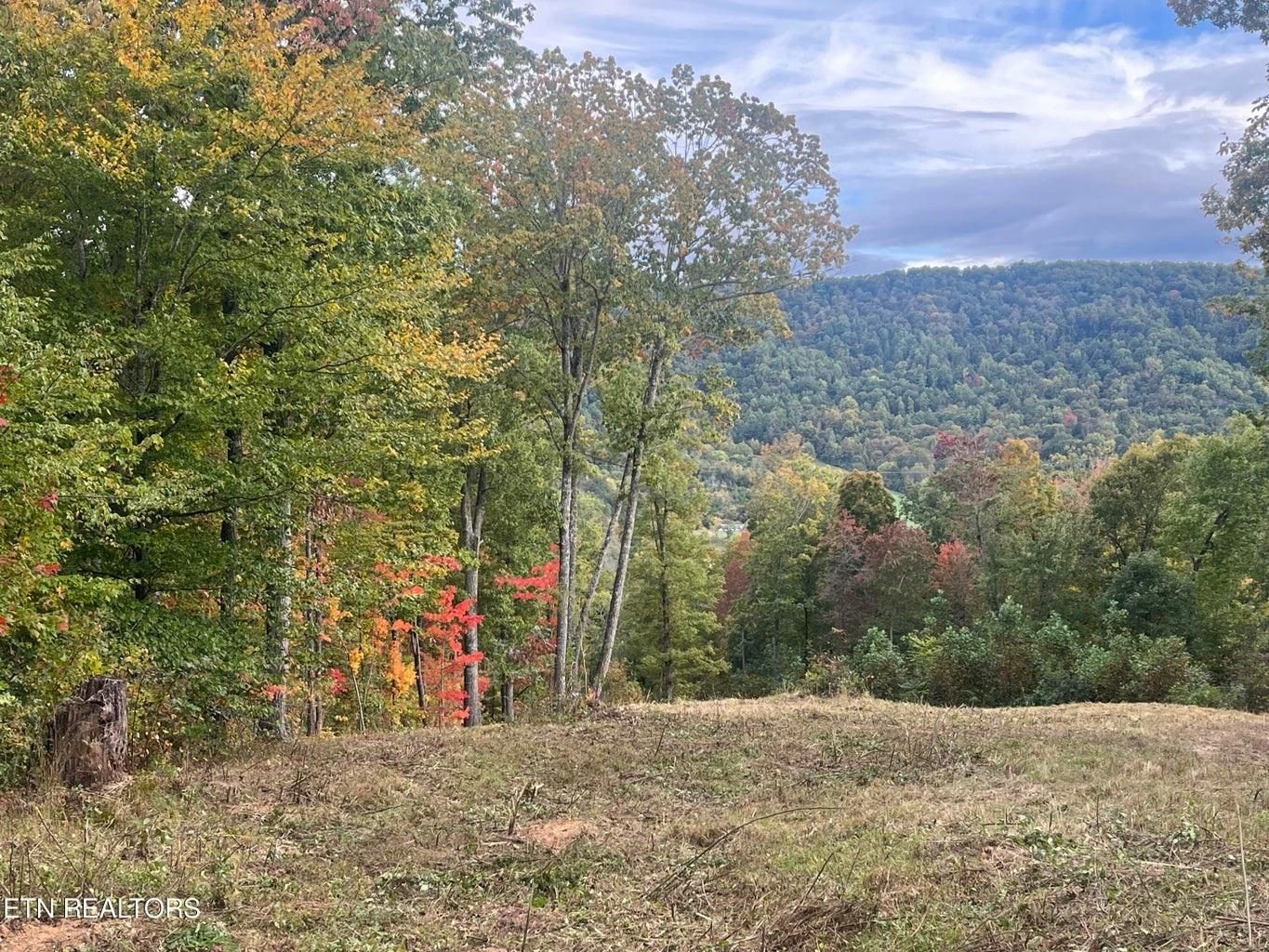 15 acres in Tazewell, TN, 37879 MLS 1243011