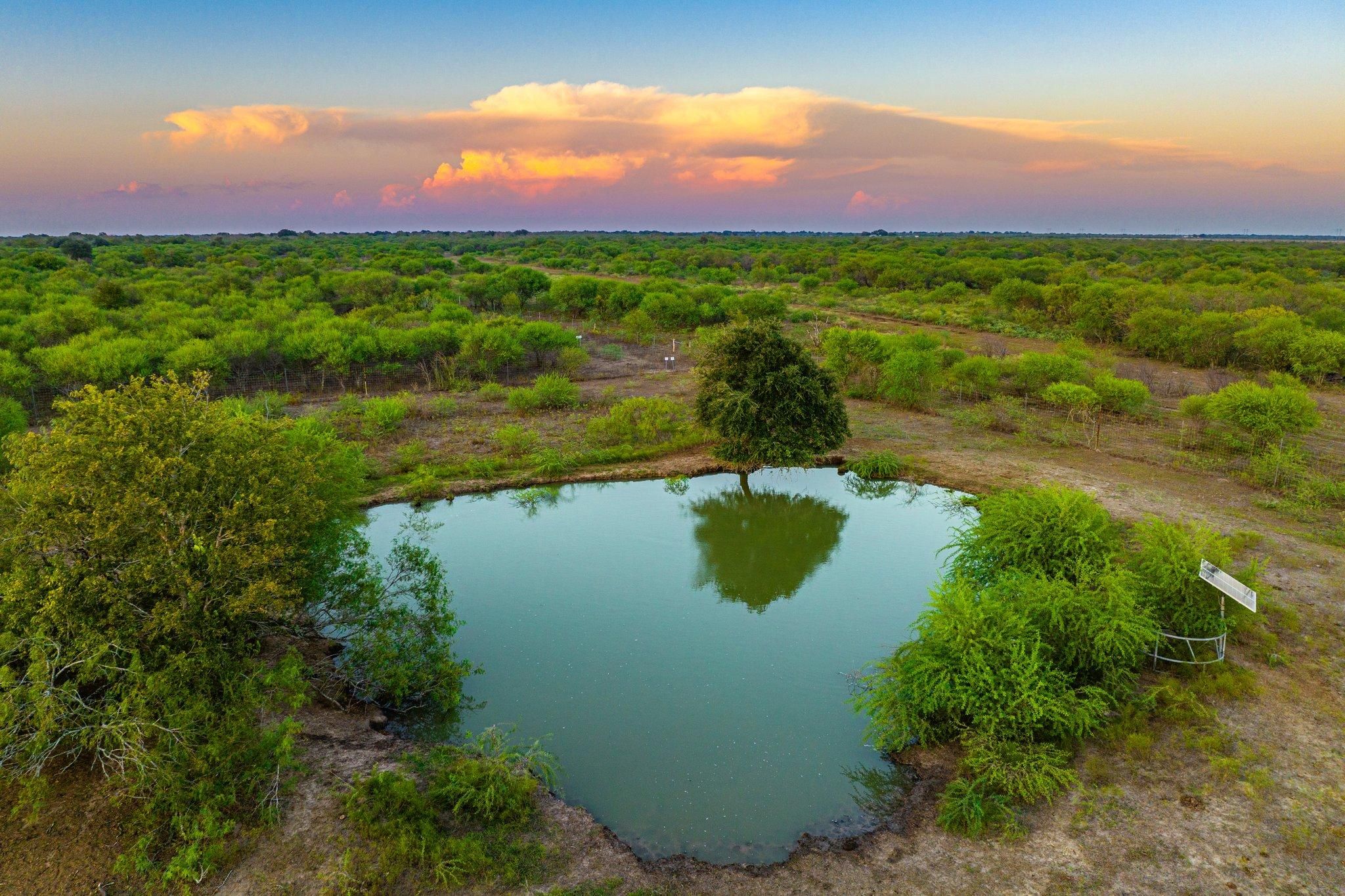 Texas 239, Tivoli, TX 77990