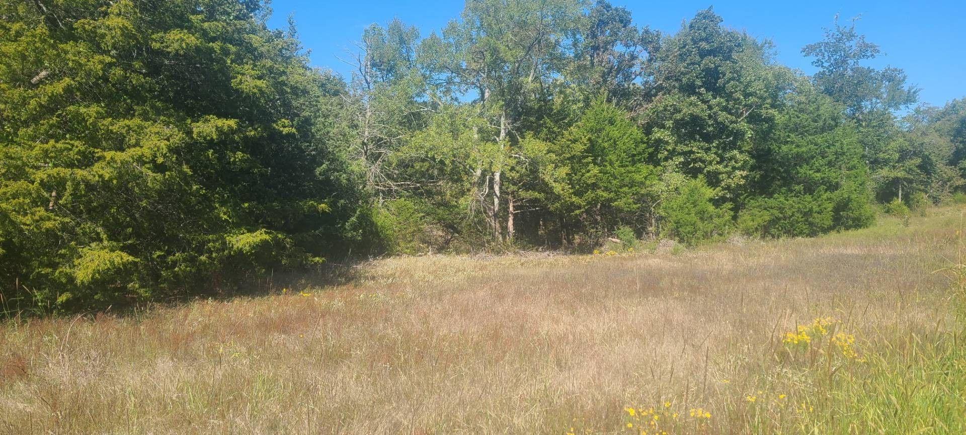5 acres in Latimer County, Oklahoma