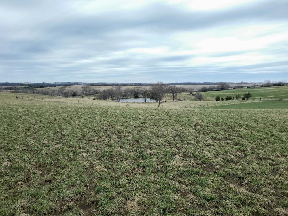 80 acres in Decatur County, Iowa