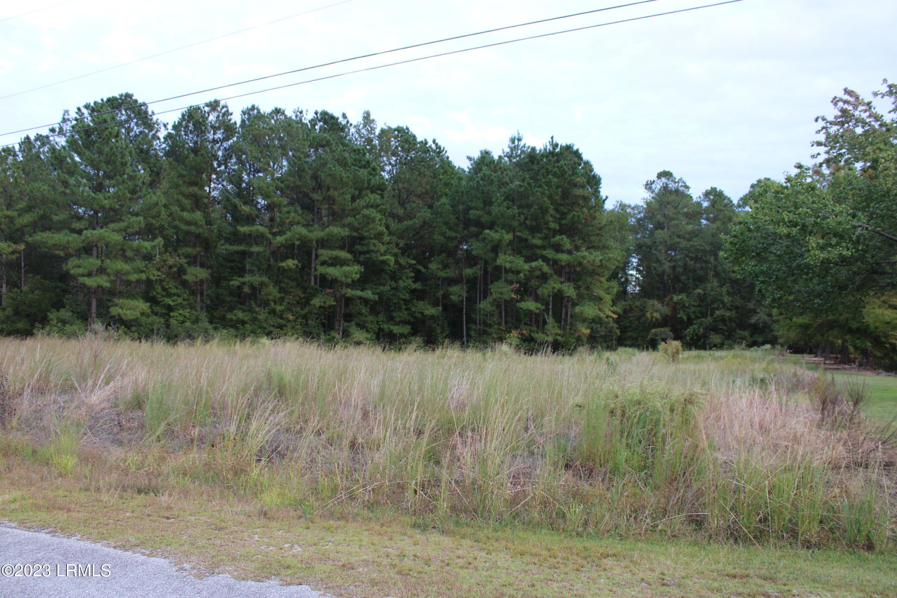 2 acres in Hampton County, South Carolina