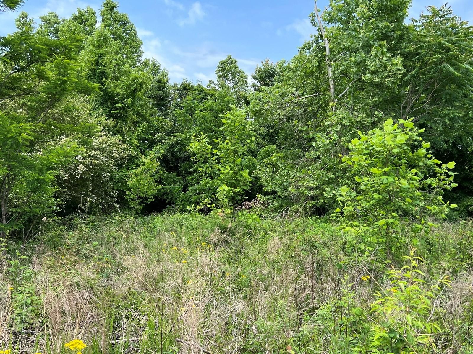 Warehouse St, Bassett, VA 24055