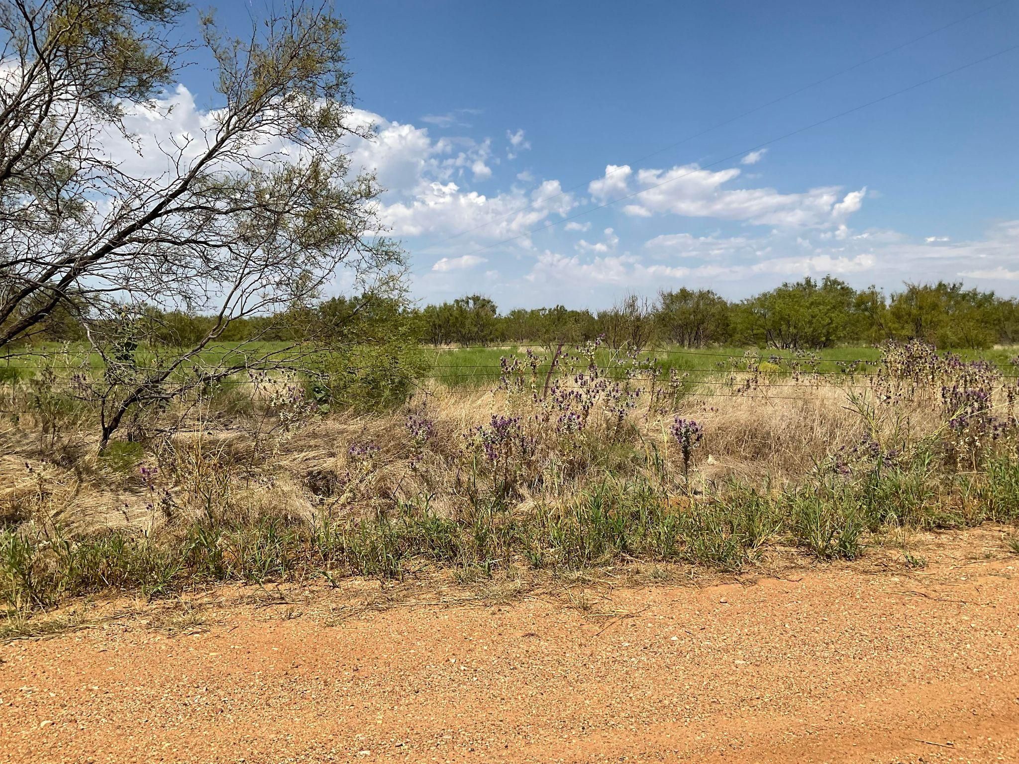 20 acres in Young County, Texas