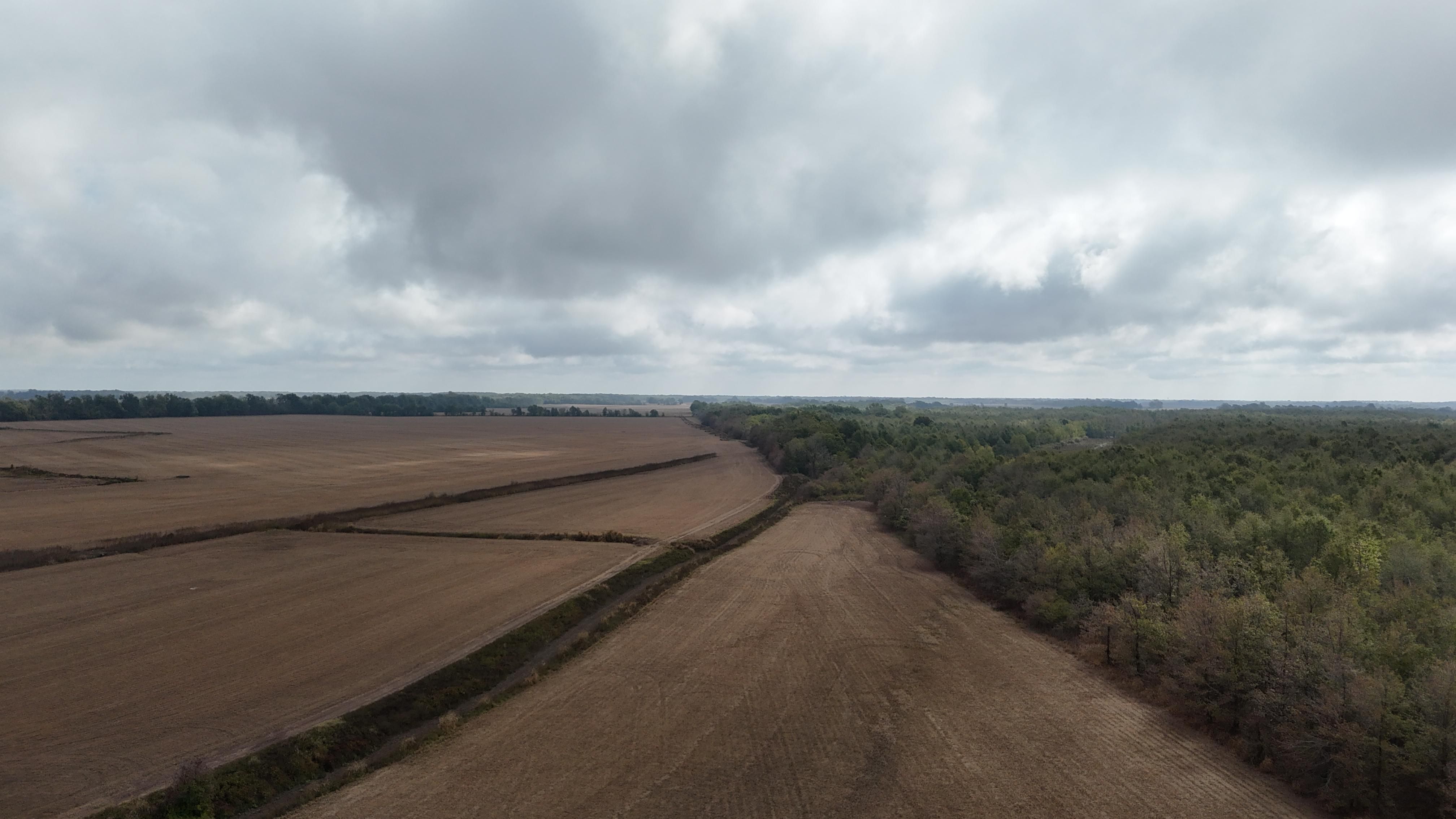 456 acres in Bolivar County, Mississippi
