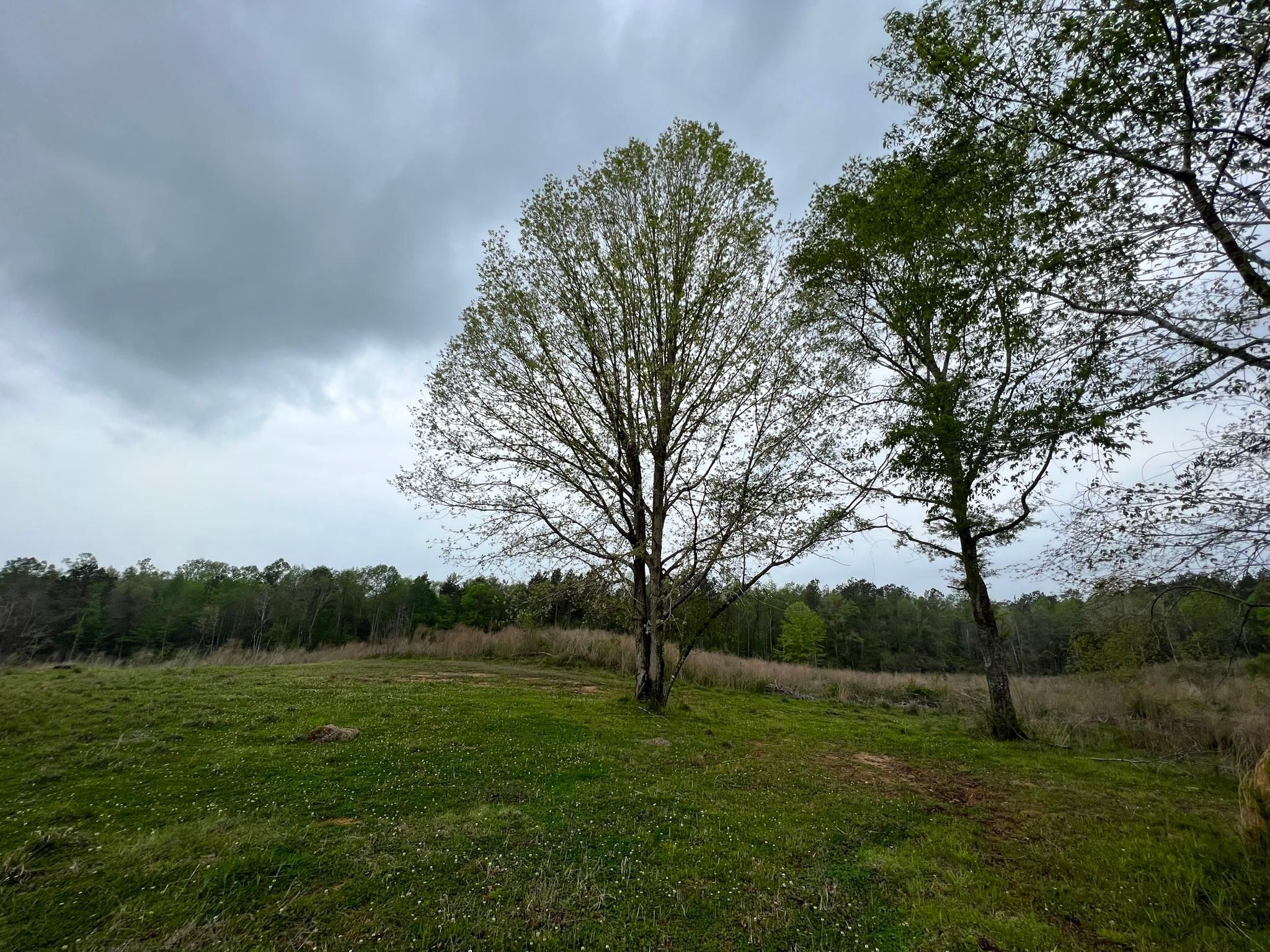 55 acres in Walthall County, Mississippi