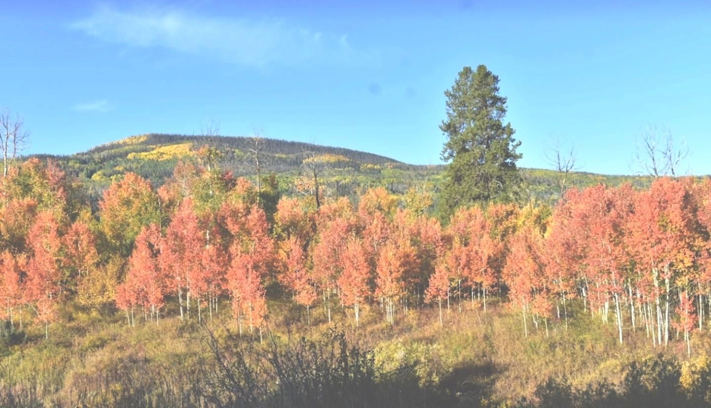 20.66 acres in Routt County, Colorado