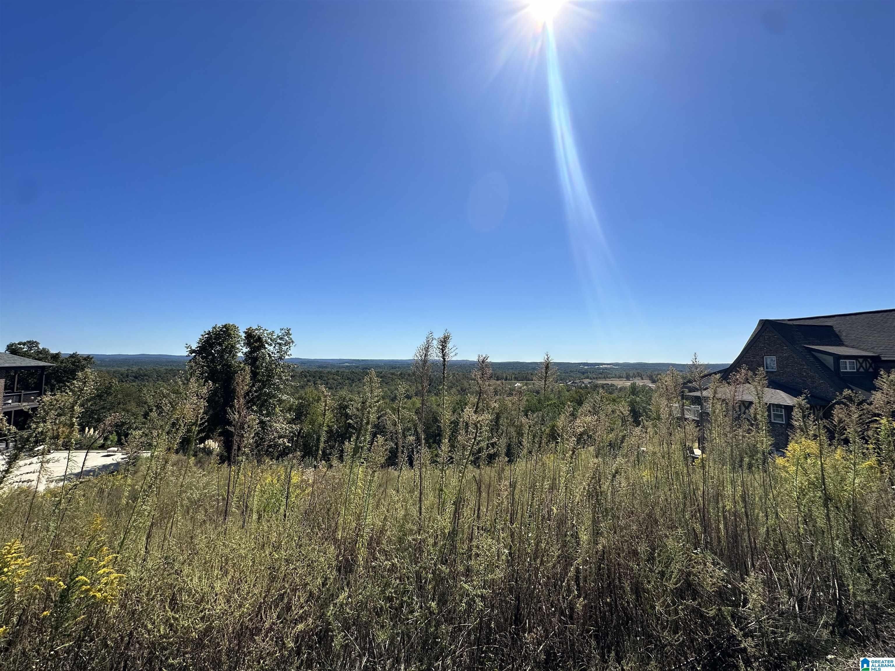 1.31 acres in Shelby County, Alabama