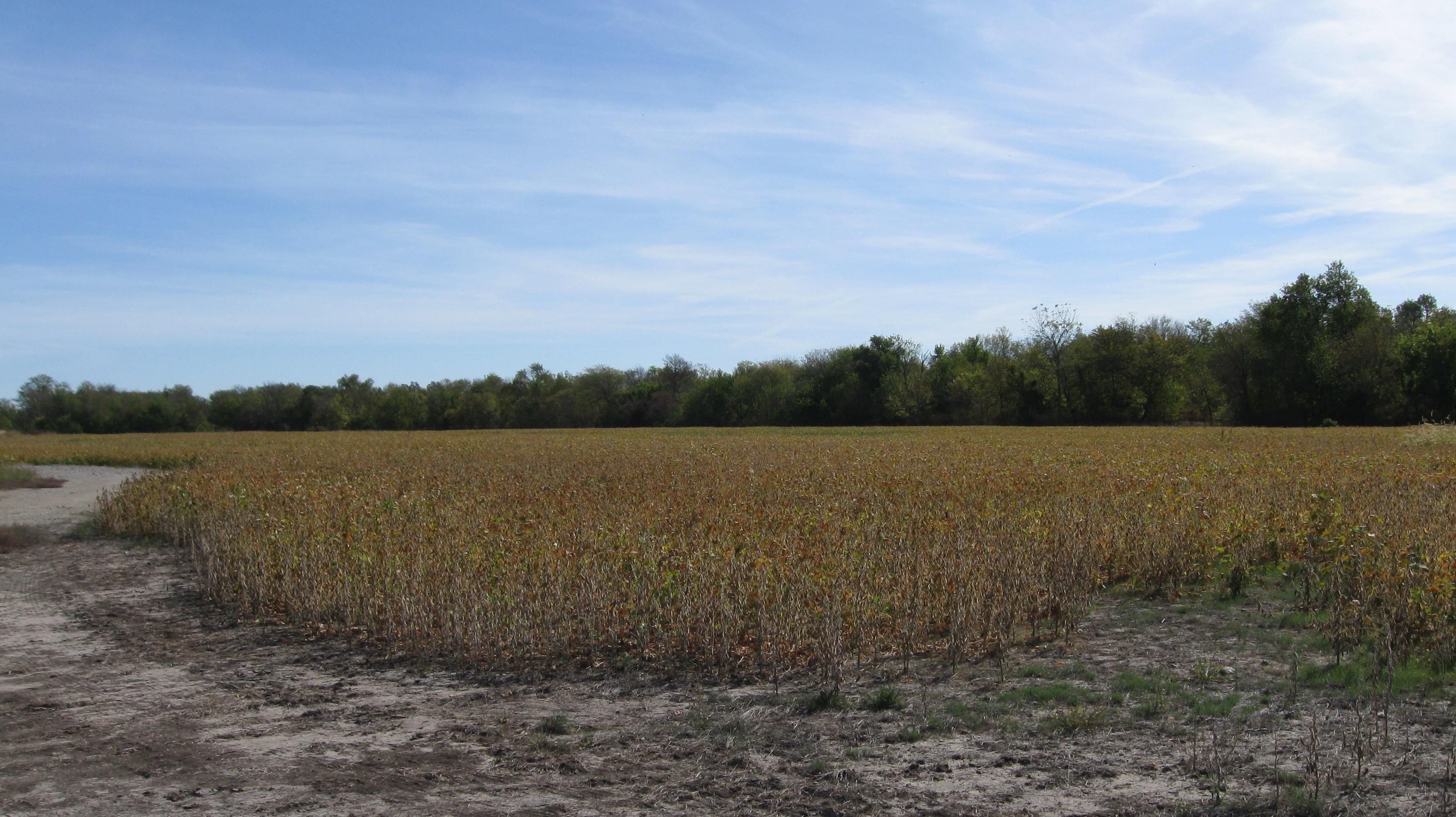 40 acres in Franklin County, Kansas