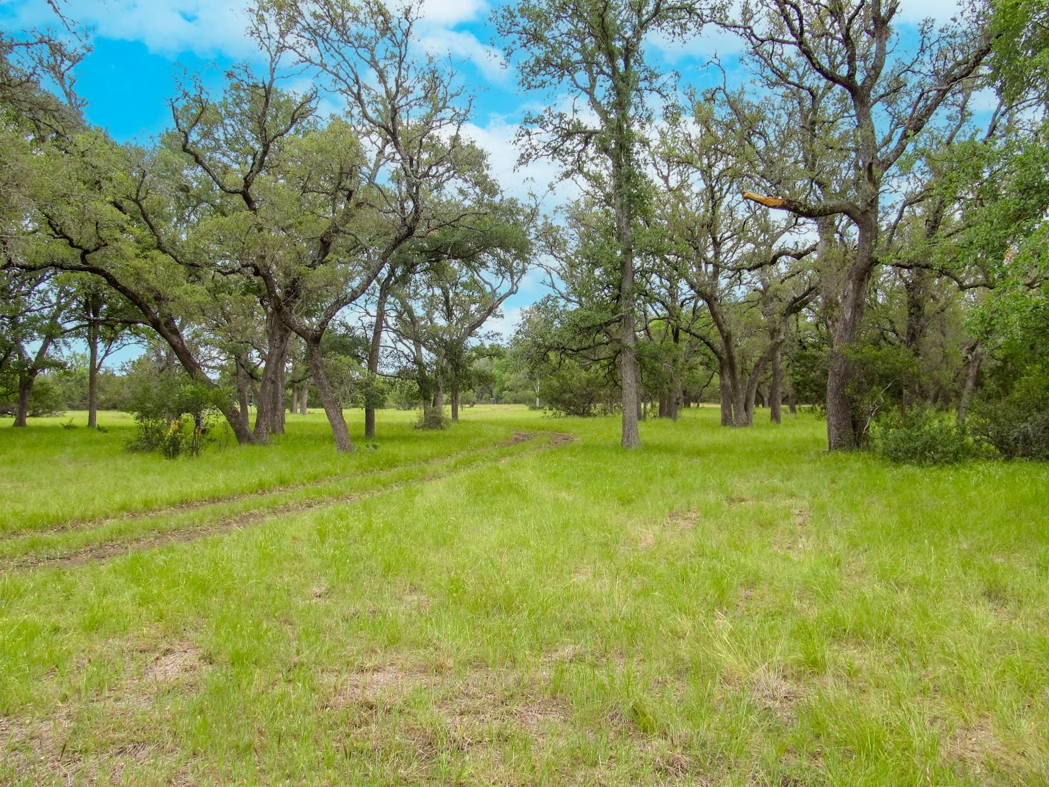 38 acres in Blanco County, Texas
