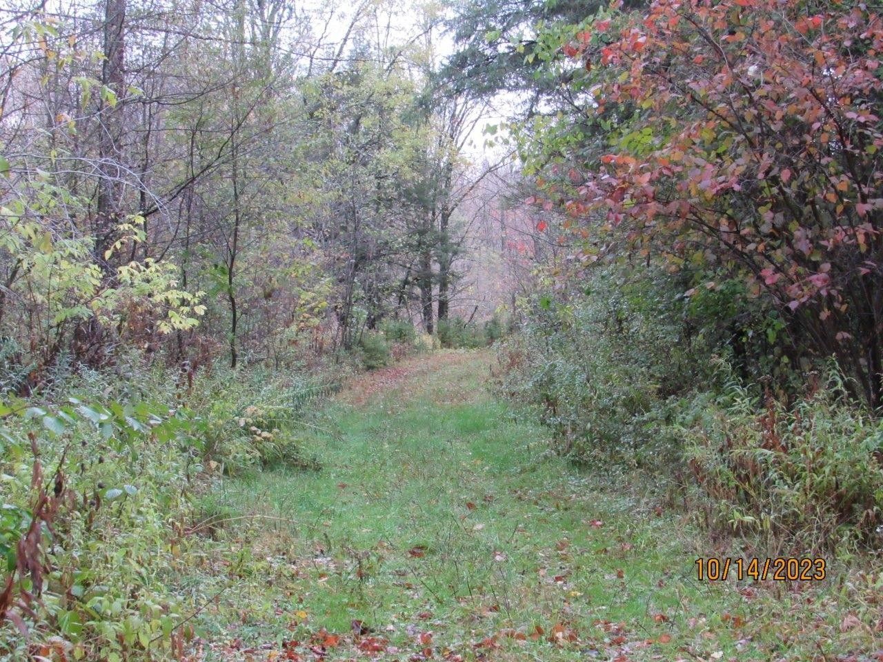 160 acres in Price County, Wisconsin