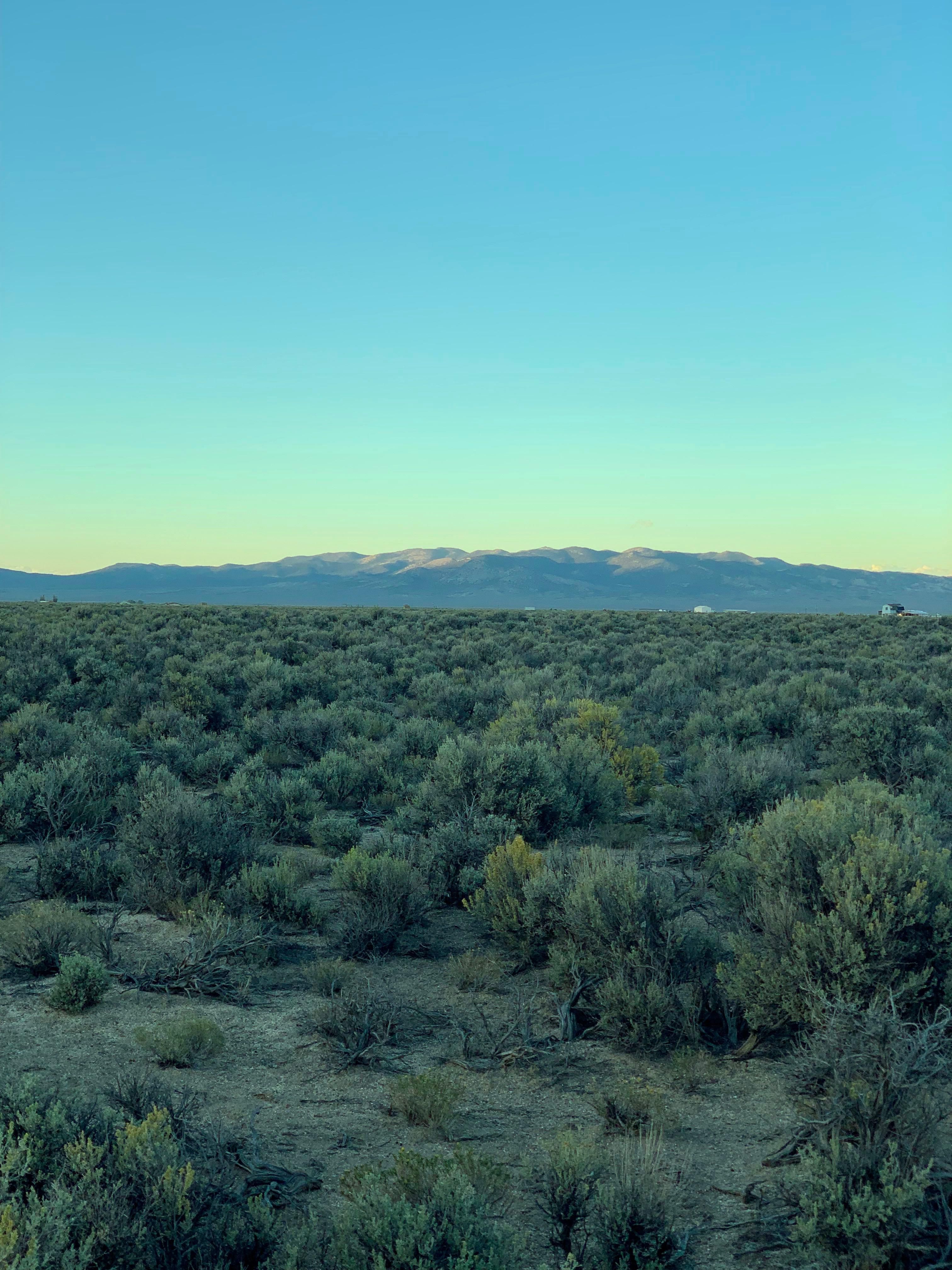 40 acres in Elko County, Nevada