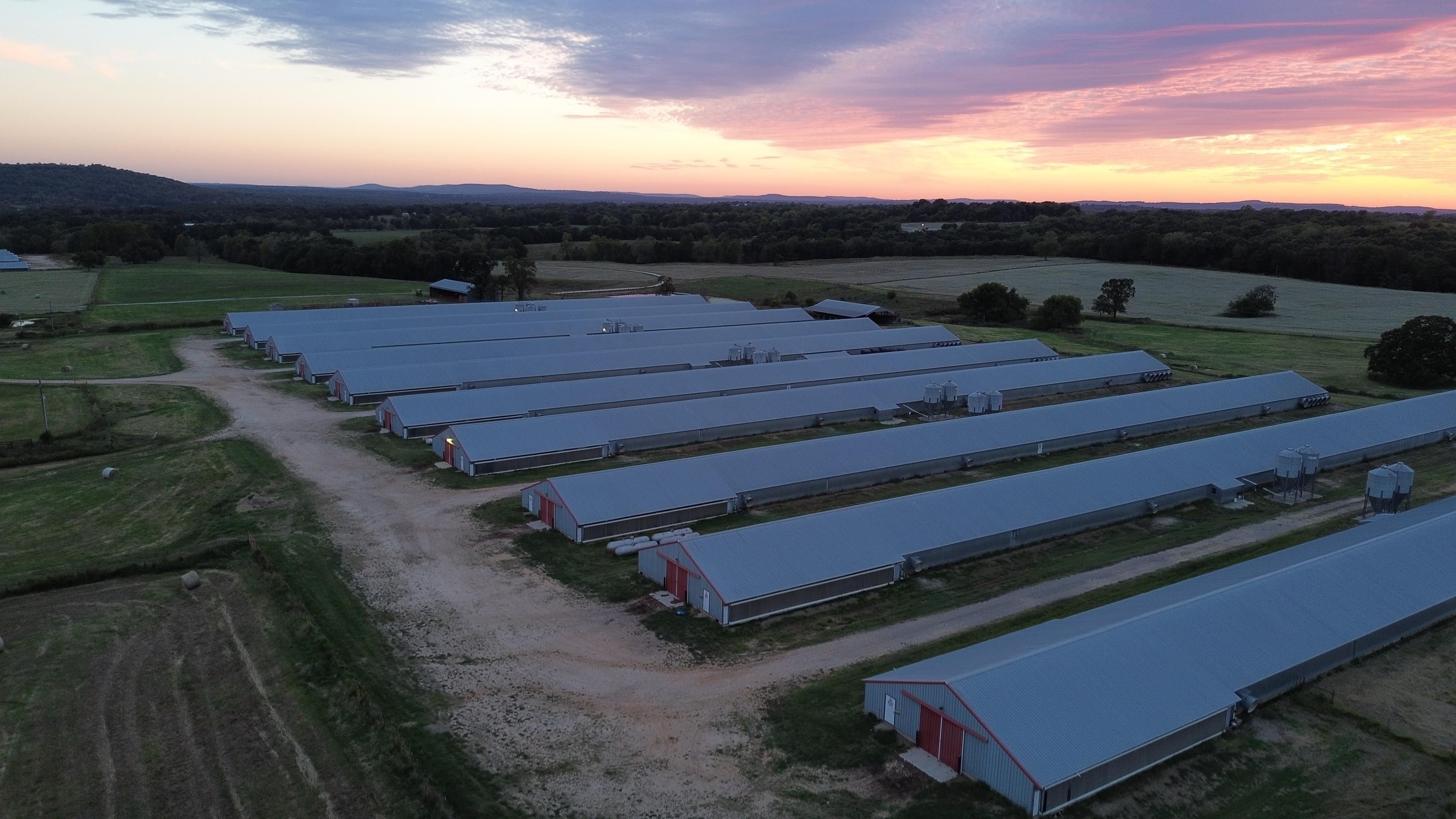 40 acres in Washington County, Arkansas