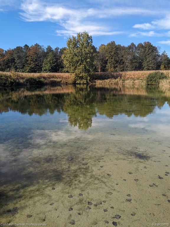 45 acres in Sanilac County, Michigan