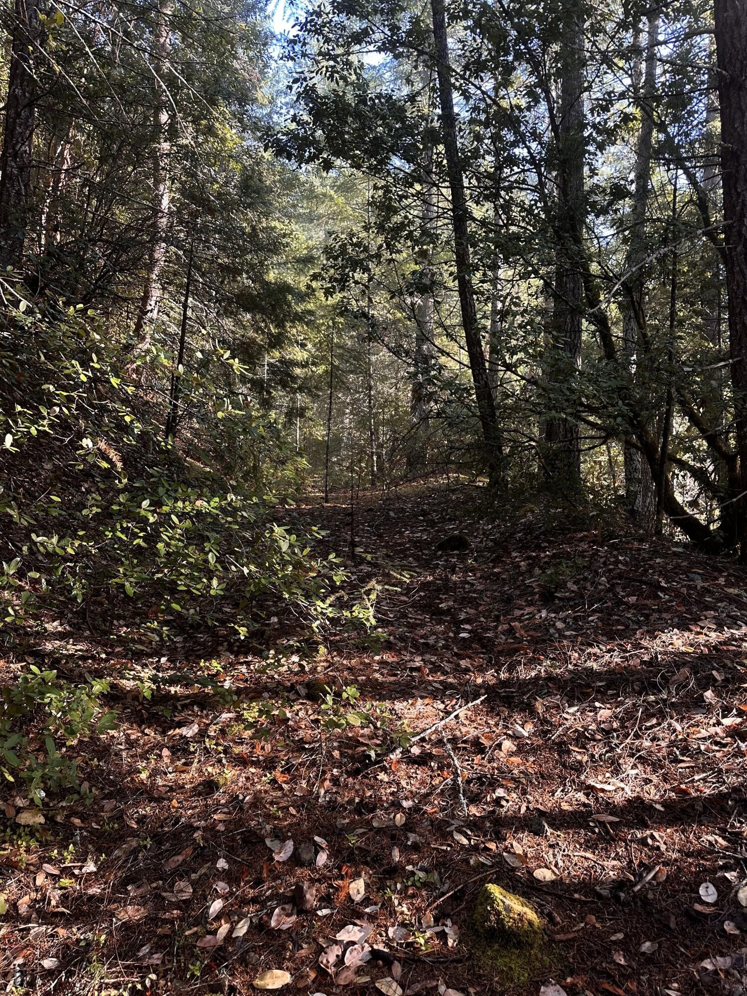 80 acres in Josephine County, Oregon