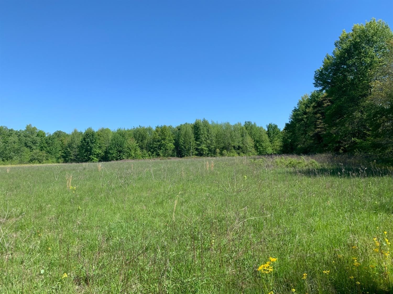 68.86 acres in Ripley County, Indiana