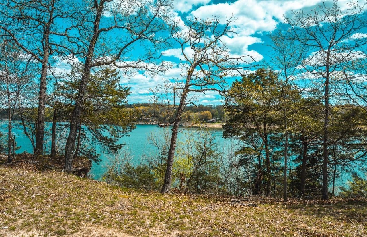 000 Meadowlark Lane, Golden, MO 65658