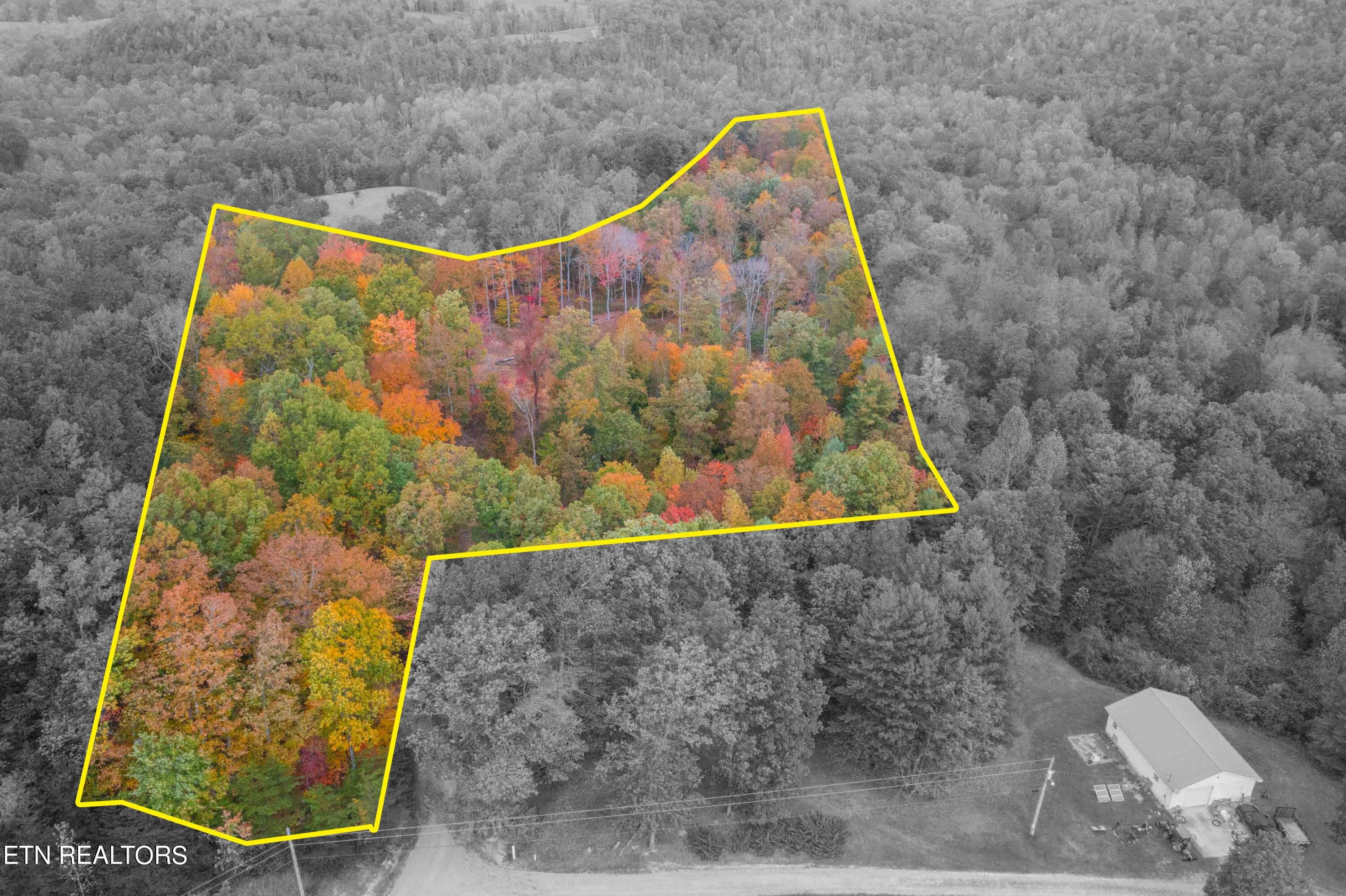 31.58 acres in Scott County, Tennessee