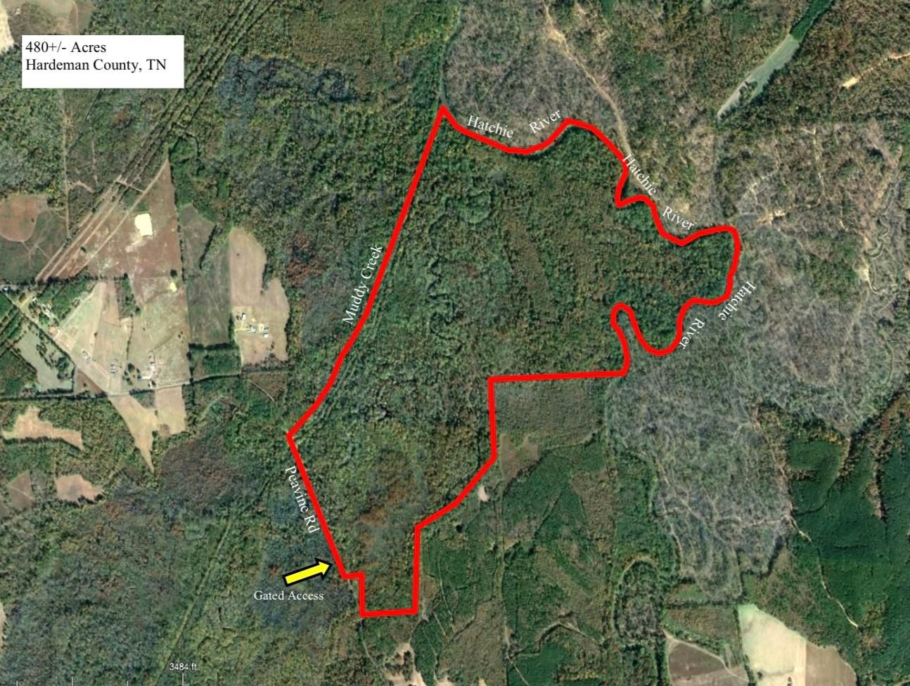480 acres in Pocahontas, TN, 38061