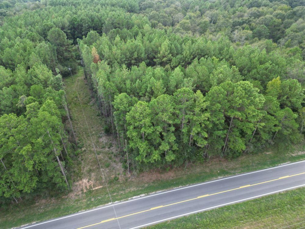 31 acres in Jones County, Mississippi