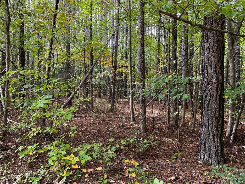 30 acres in Amelia County, Virginia