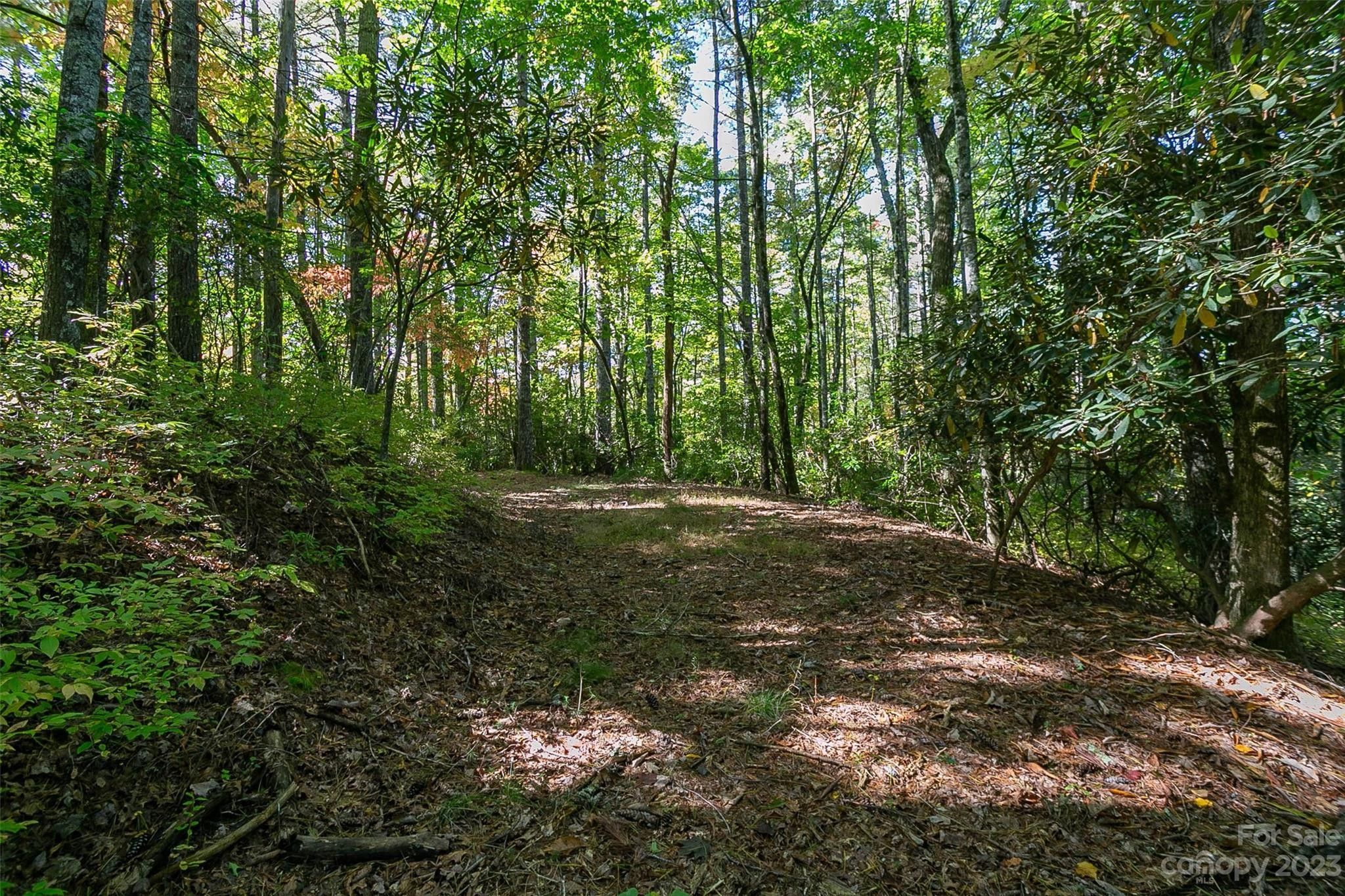 1.73 acres in Transylvania County, North Carolina