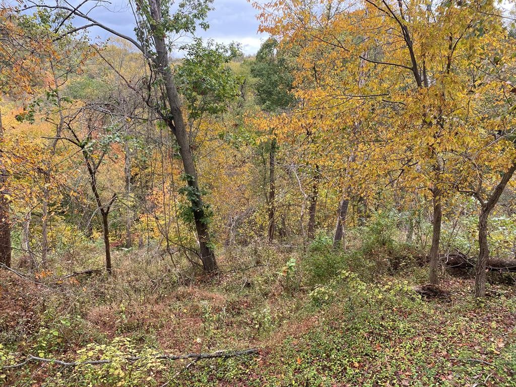 9.19 acres in Ohio County, West Virginia