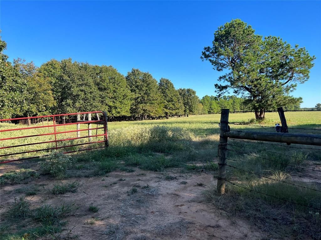 172 acres in Lamar County, Texas