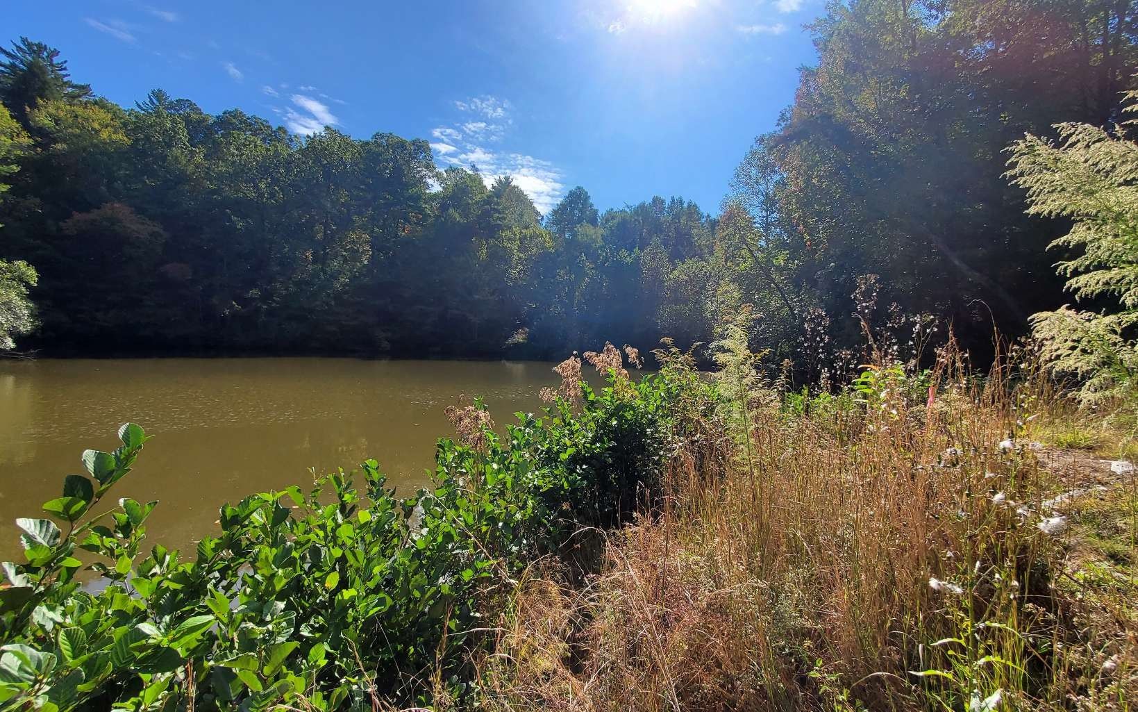 1 acres in Gilmer County,