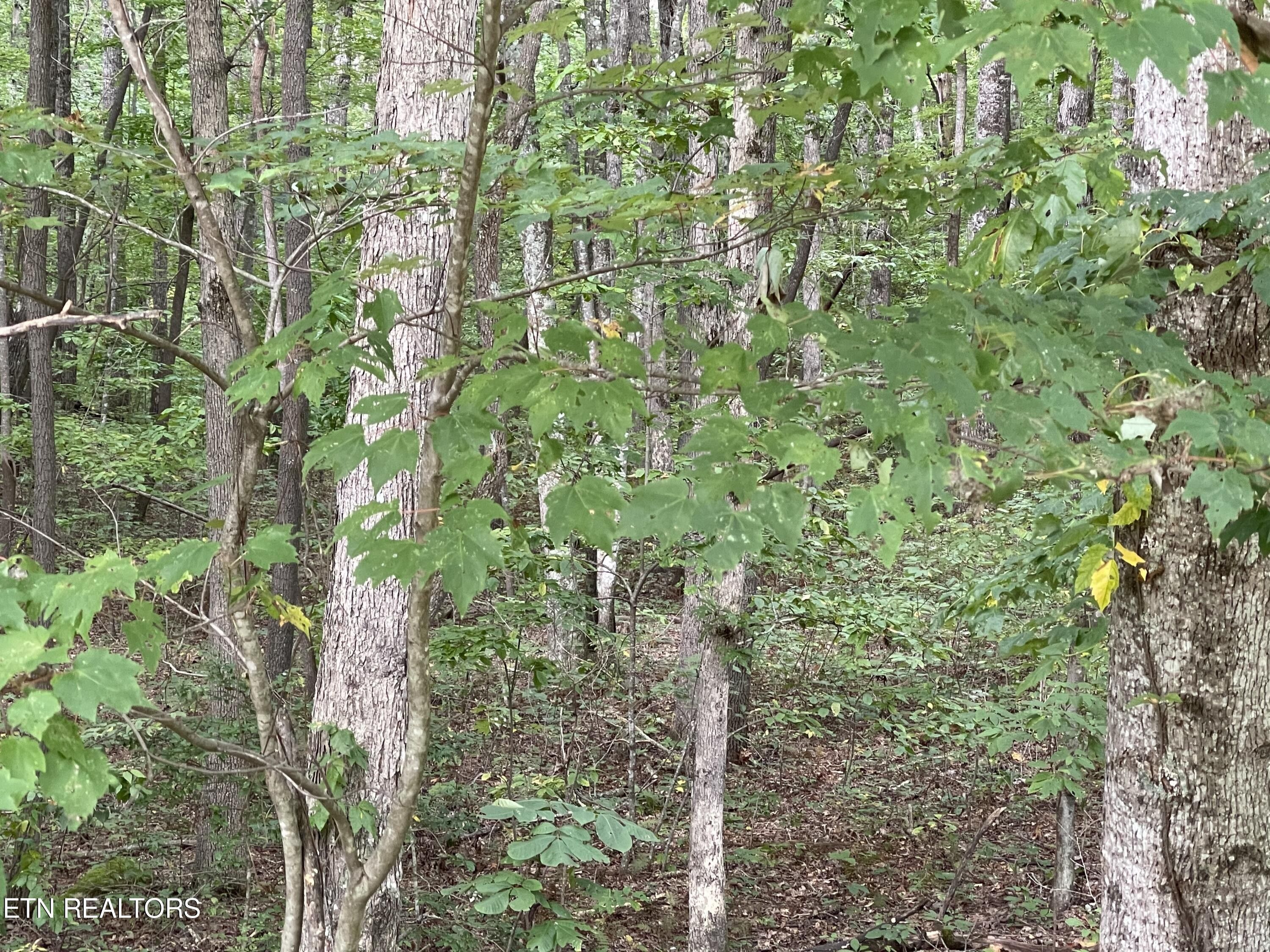 4 acres in Putnam County, Tennessee