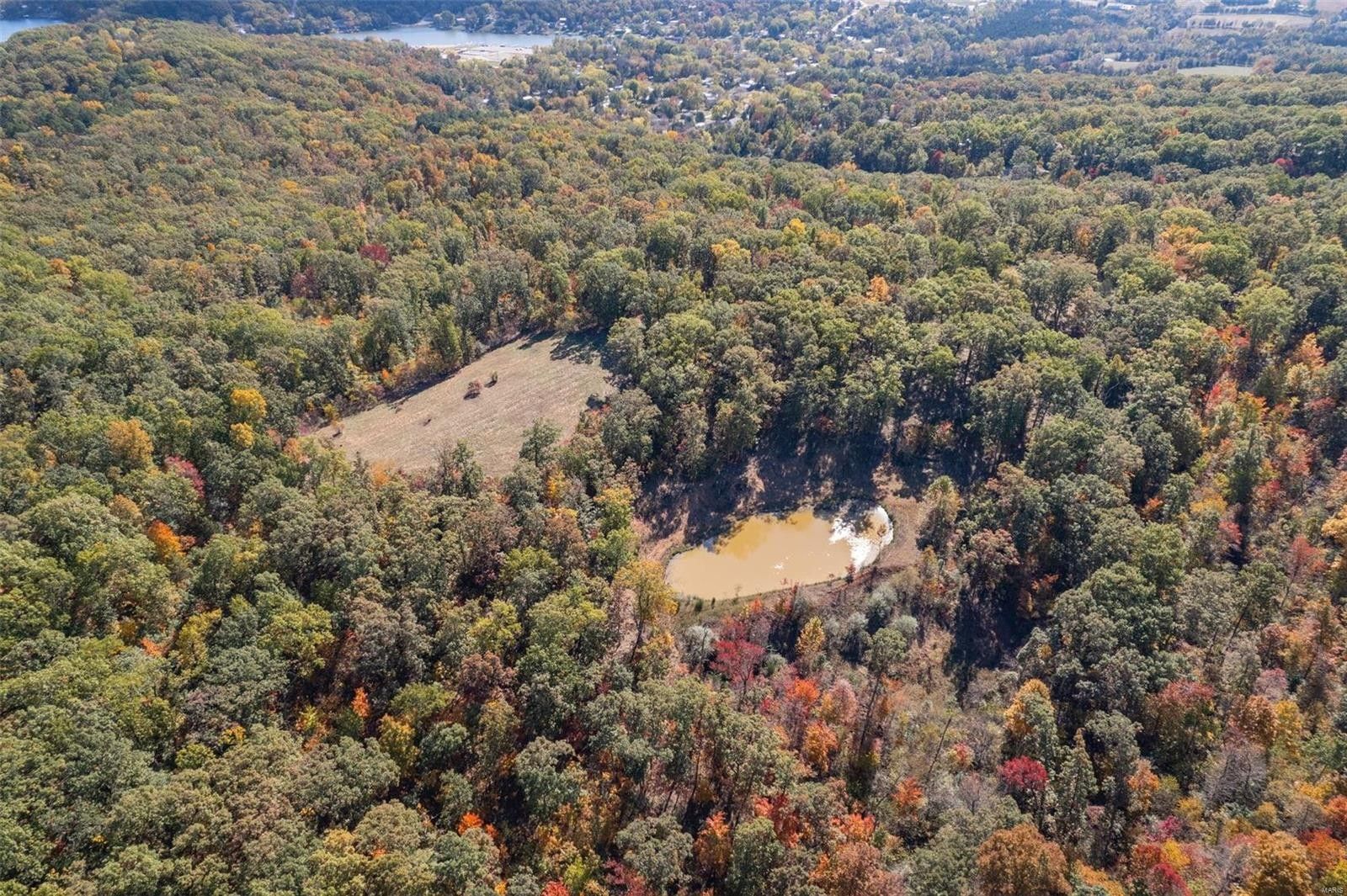 40.91 acres in Saint Francois County, Missouri