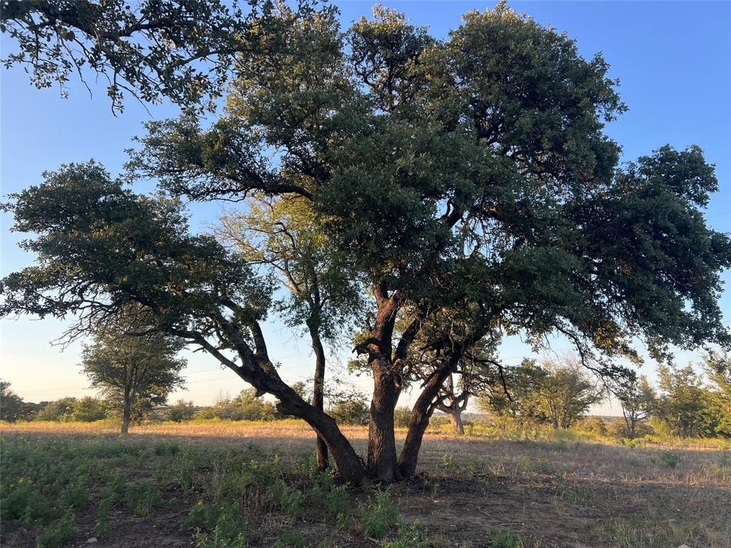 5.53 acres in Parker County, Texas