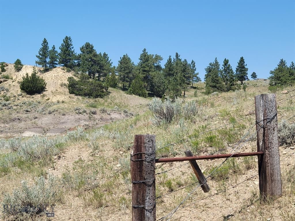 40 acres in Custer County, Montana
