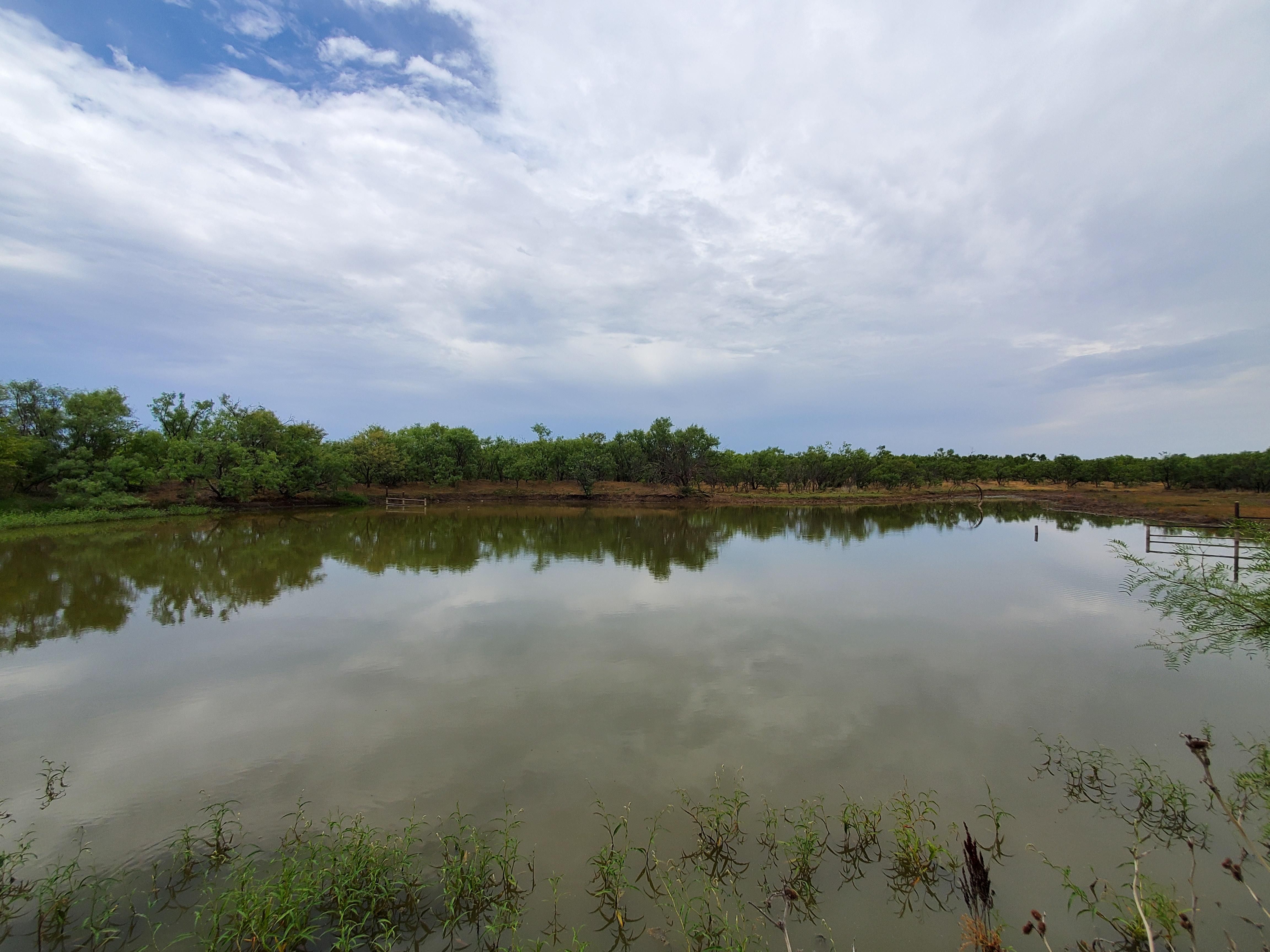 CR 171, Lueders, TX 79533