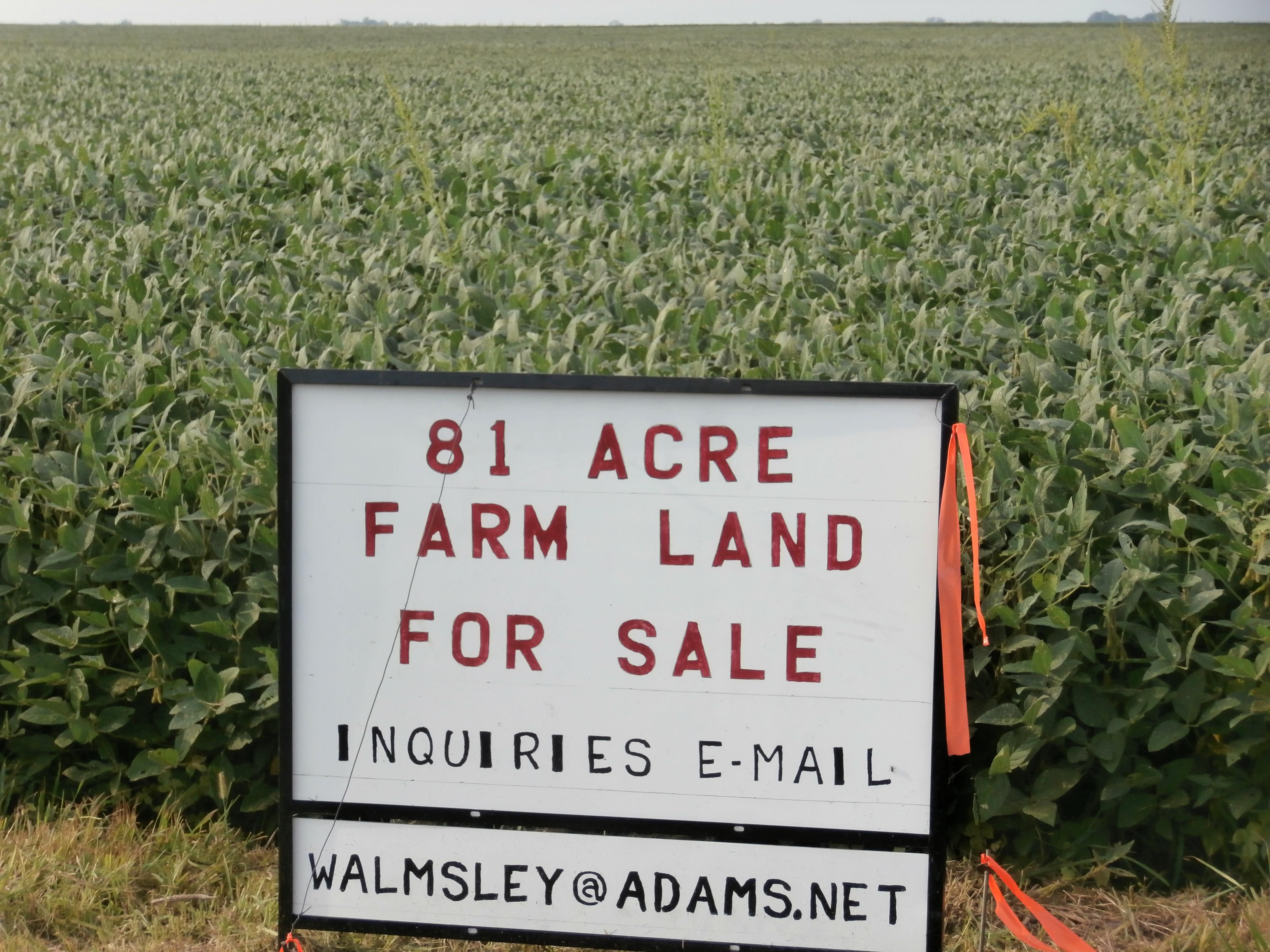81 acres in Macon County, Illinois
