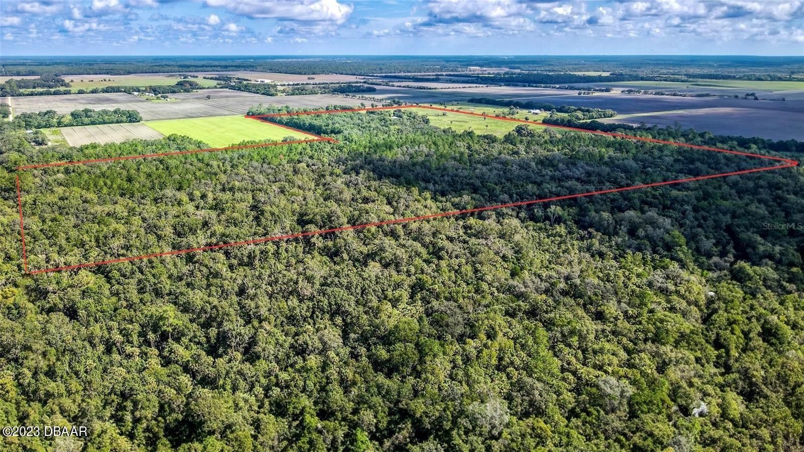 120 acres in Flagler County, Florida