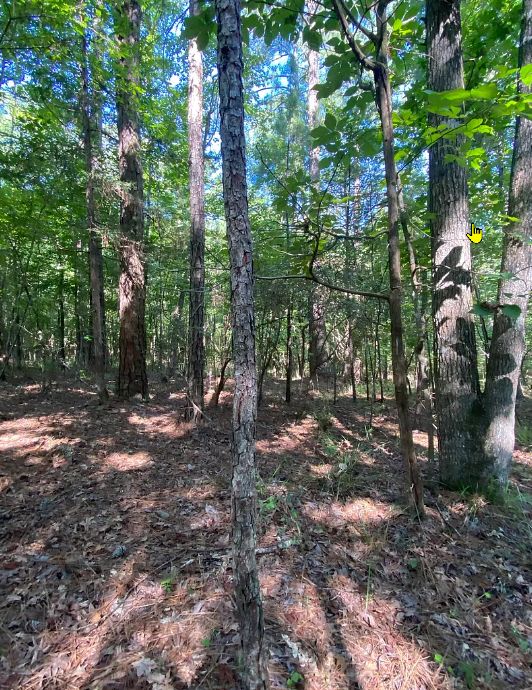 0.53 acres in Hancock County,