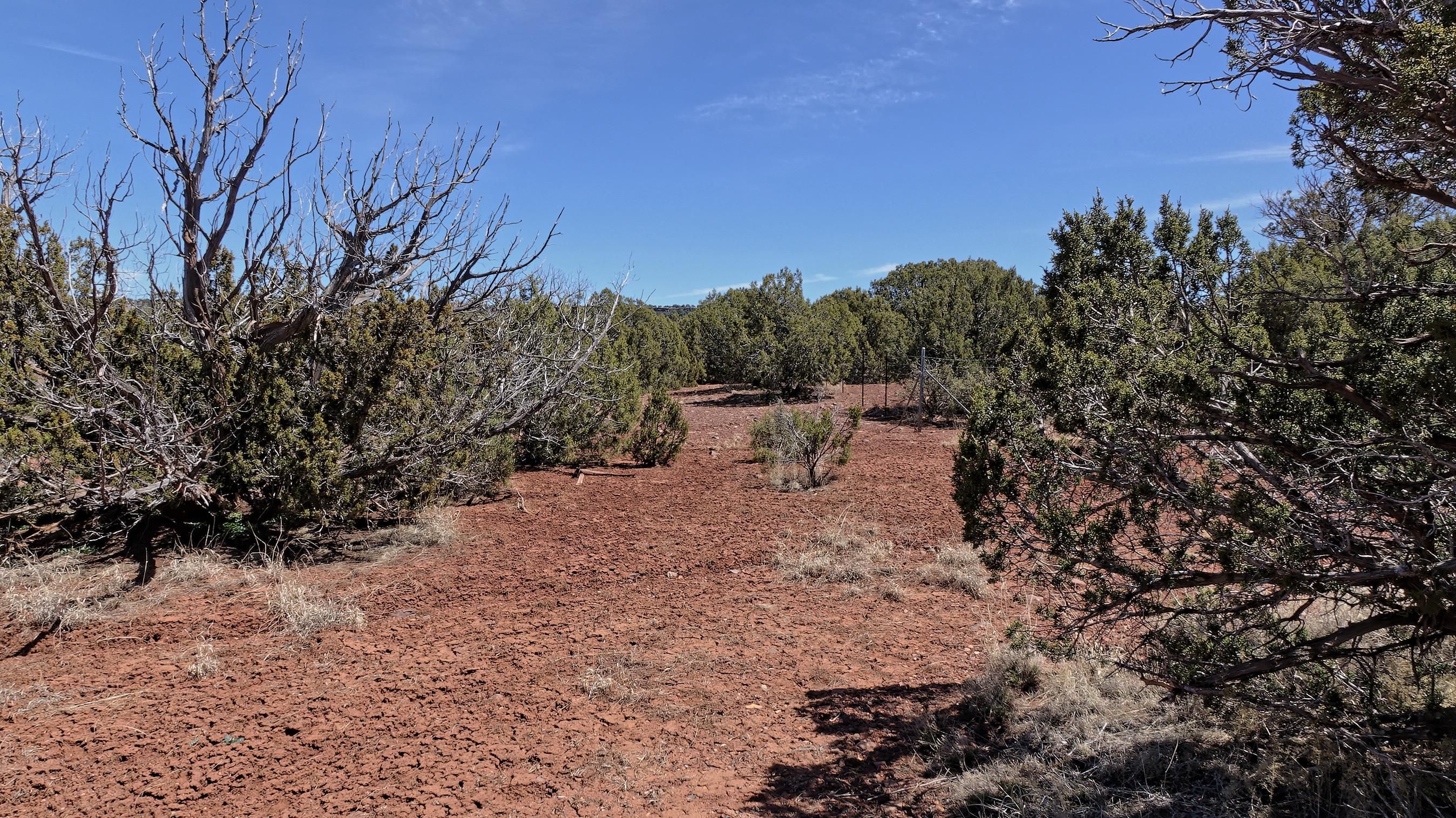 1 acres in Navajo County, Arizona
