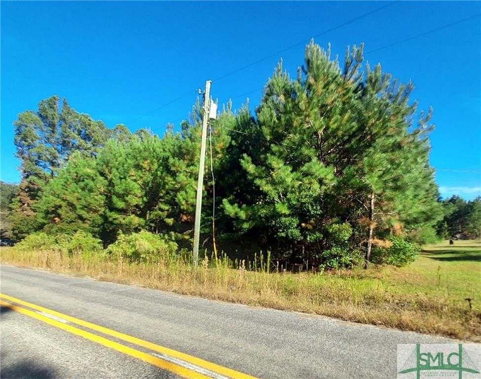 2 acres in Effingham County,
