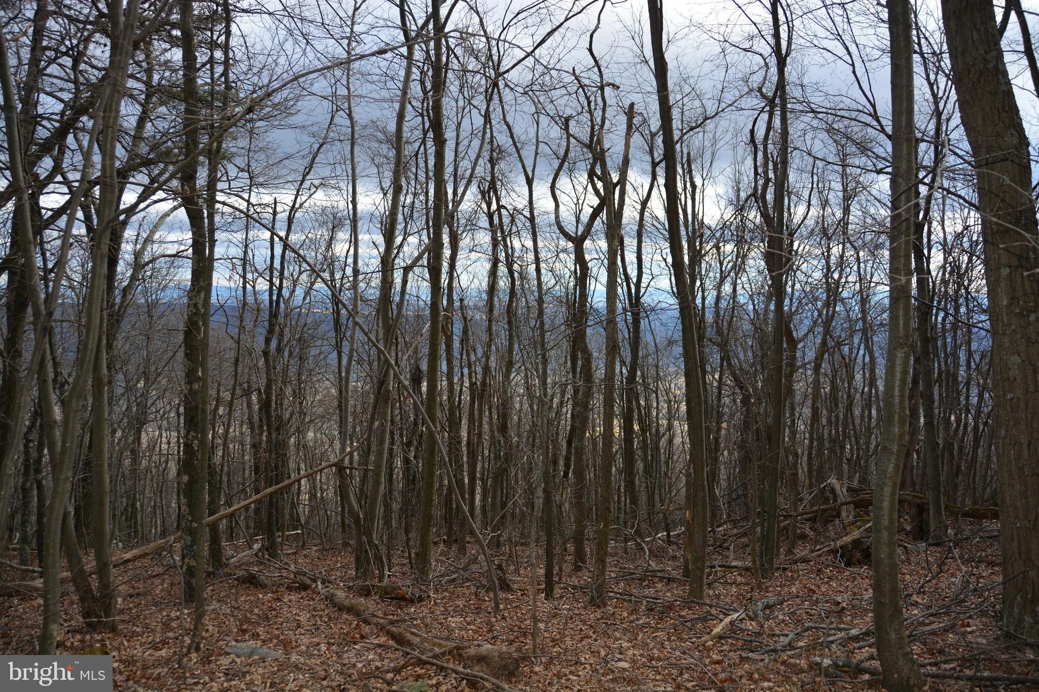 ROCKWOOD TRAIL, Winchester, VA 22602 MLS VAFV2015652