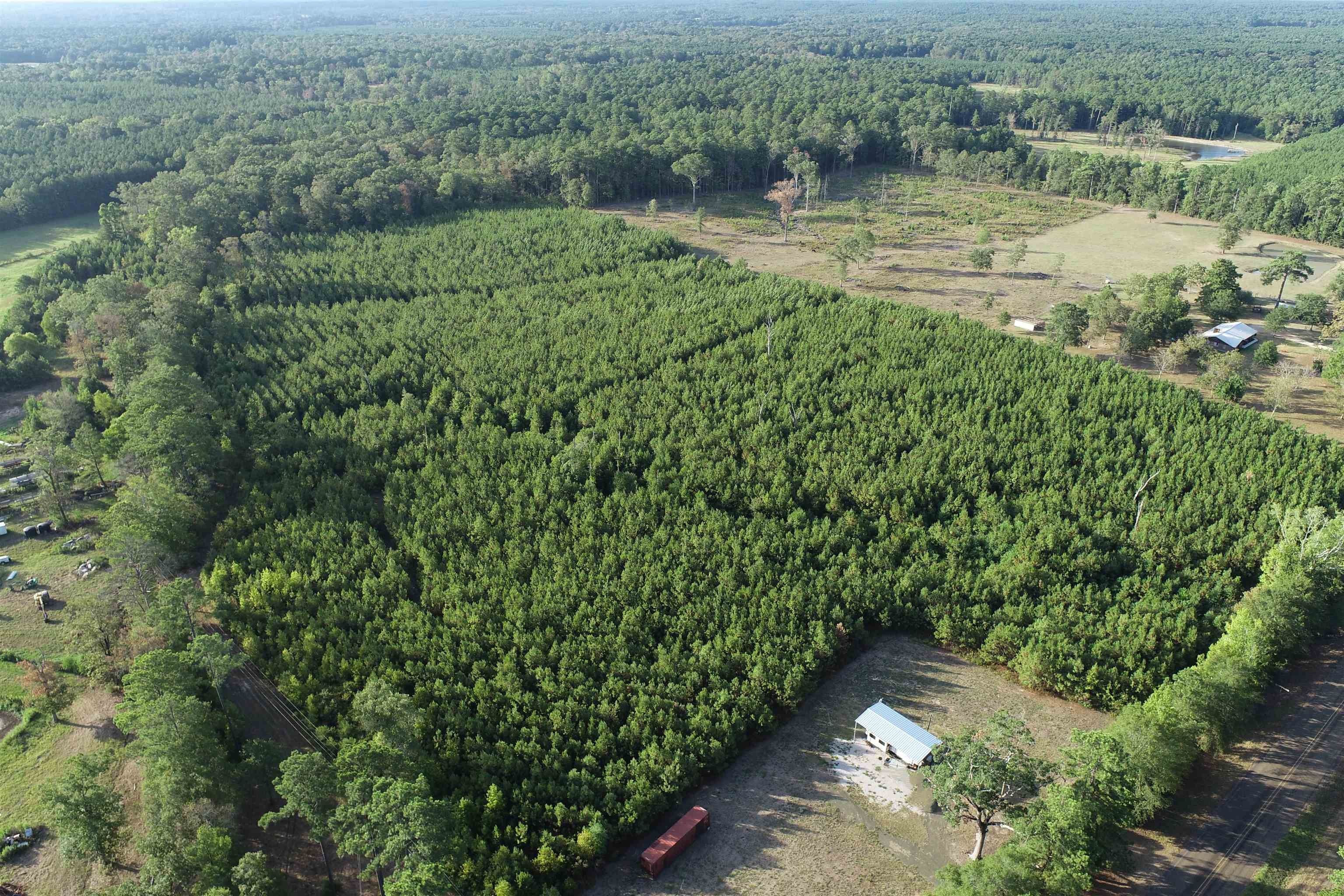 35.5 acres in Sabine County, Texas